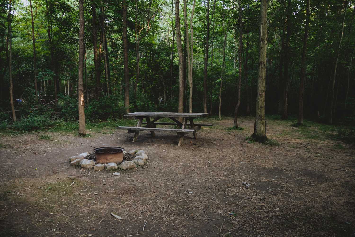 A look at the typical tent site at Cherry Hill when you first arrive!