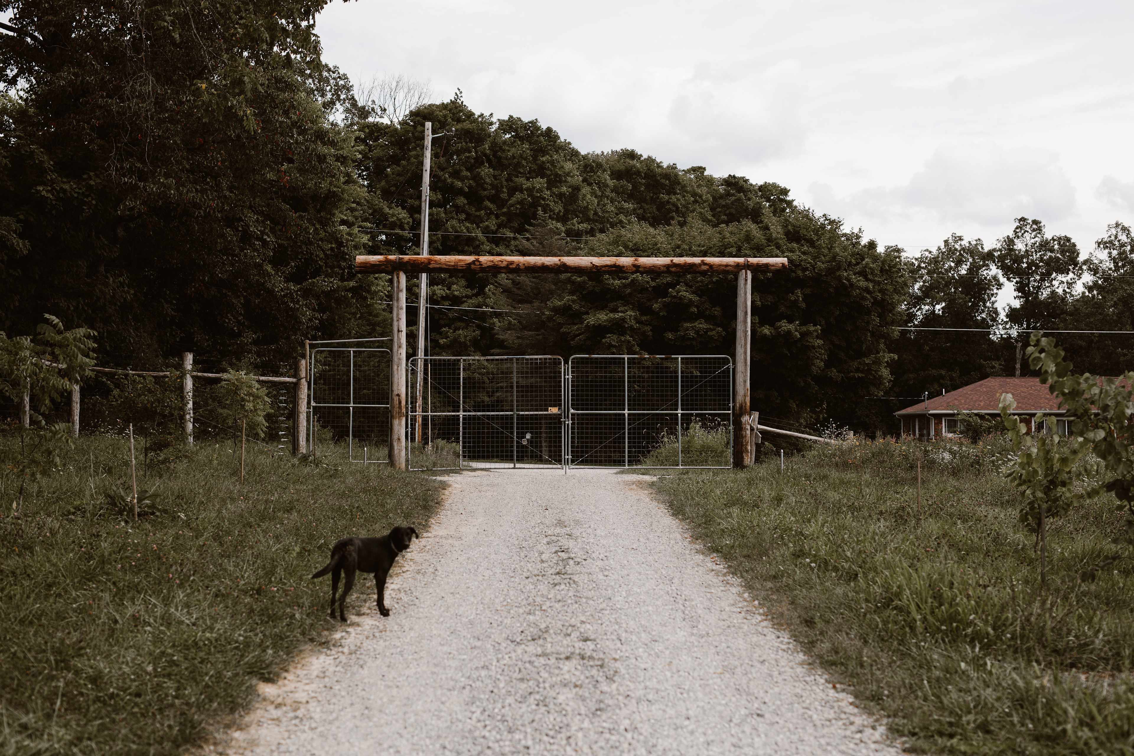 Welcome to the farm!