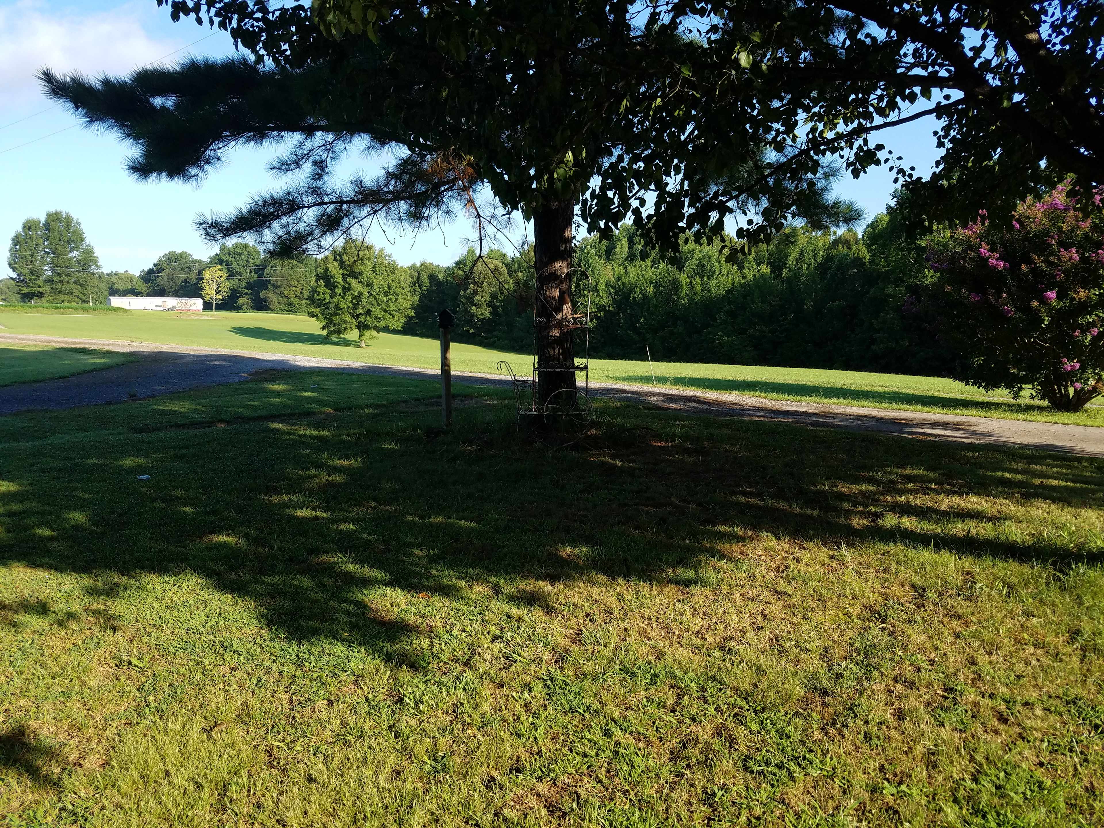 Firefly Farms