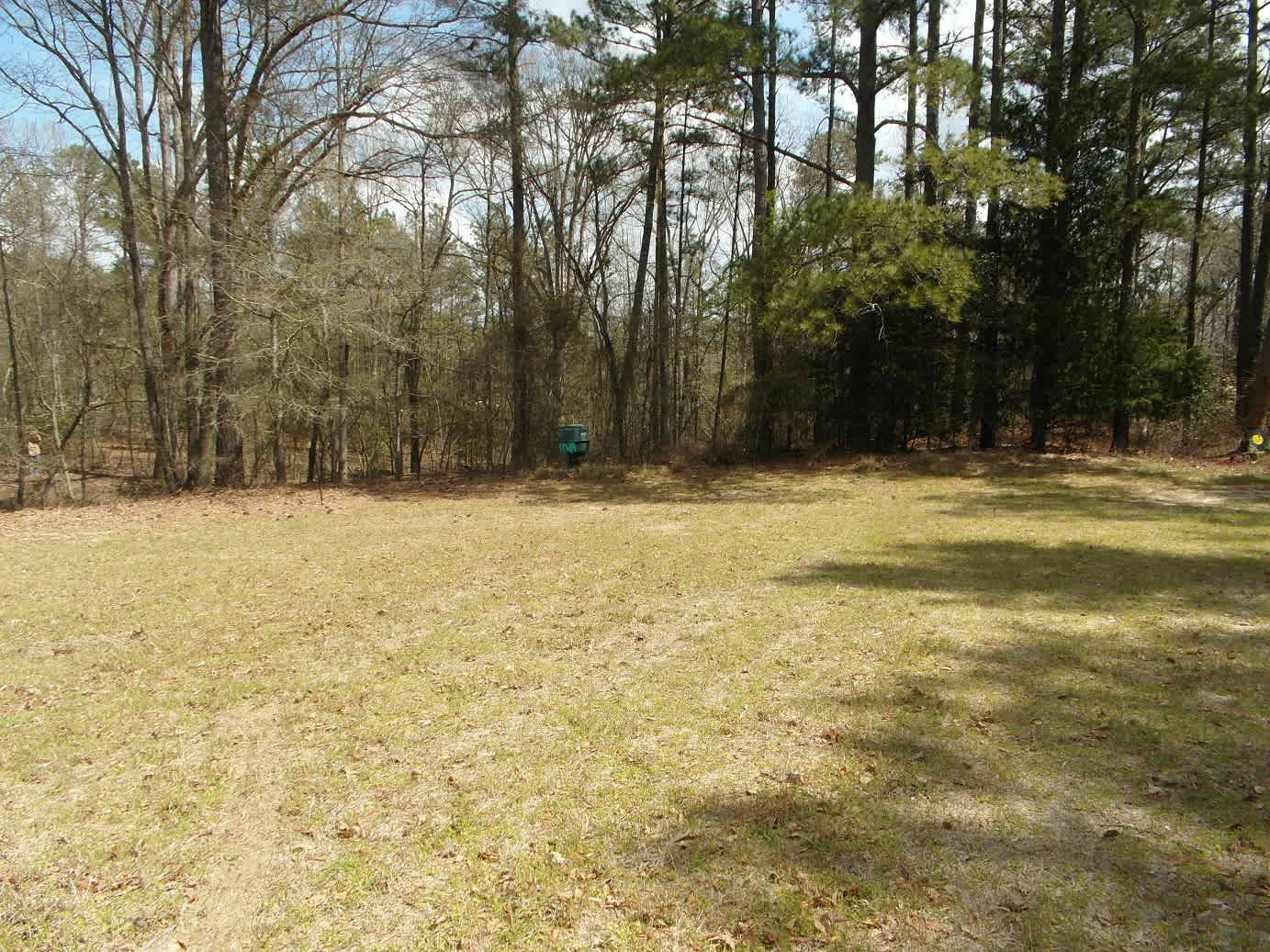 pasture and woods leading to creek