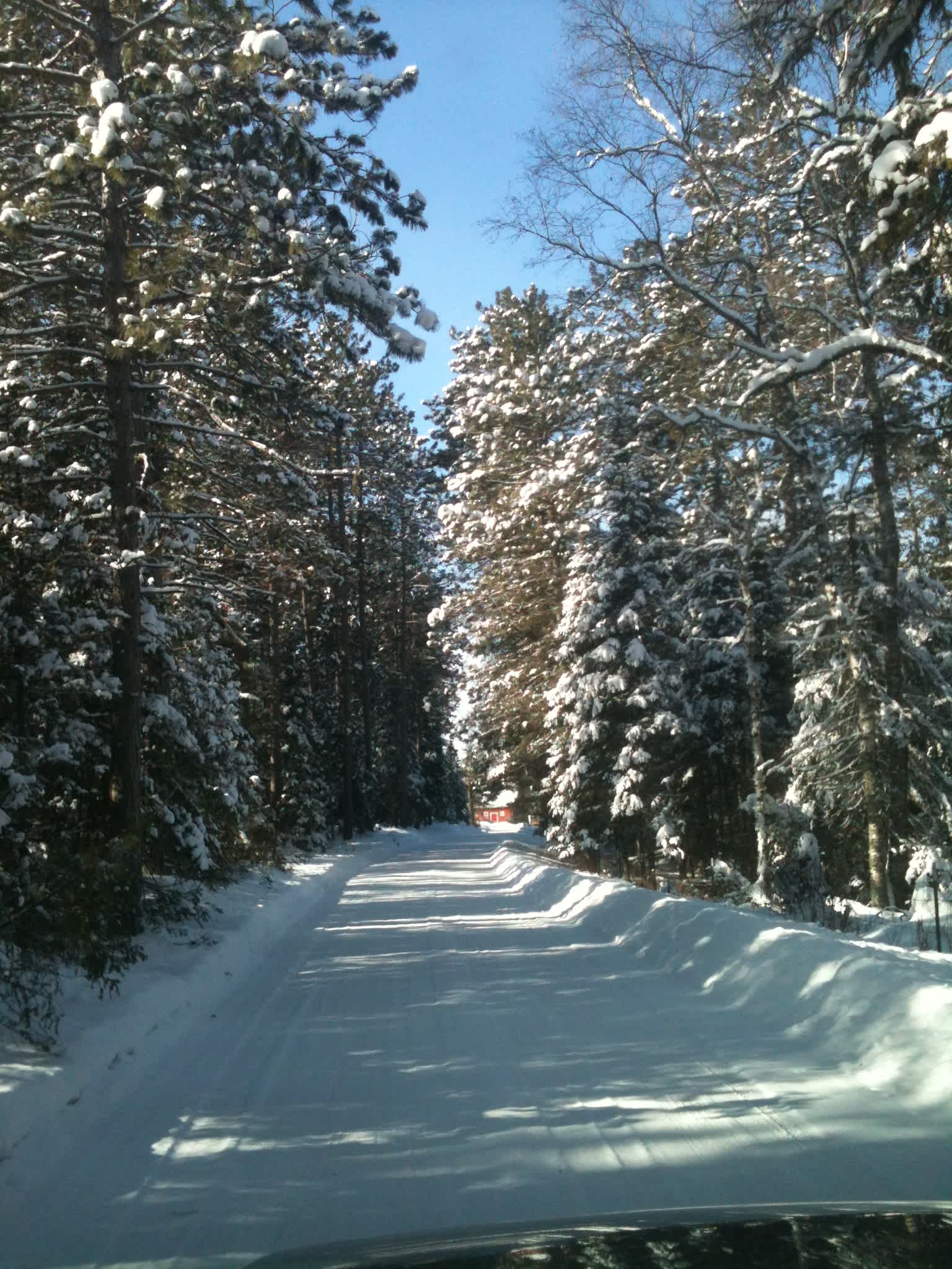 Even in winter the farm is beautiful!