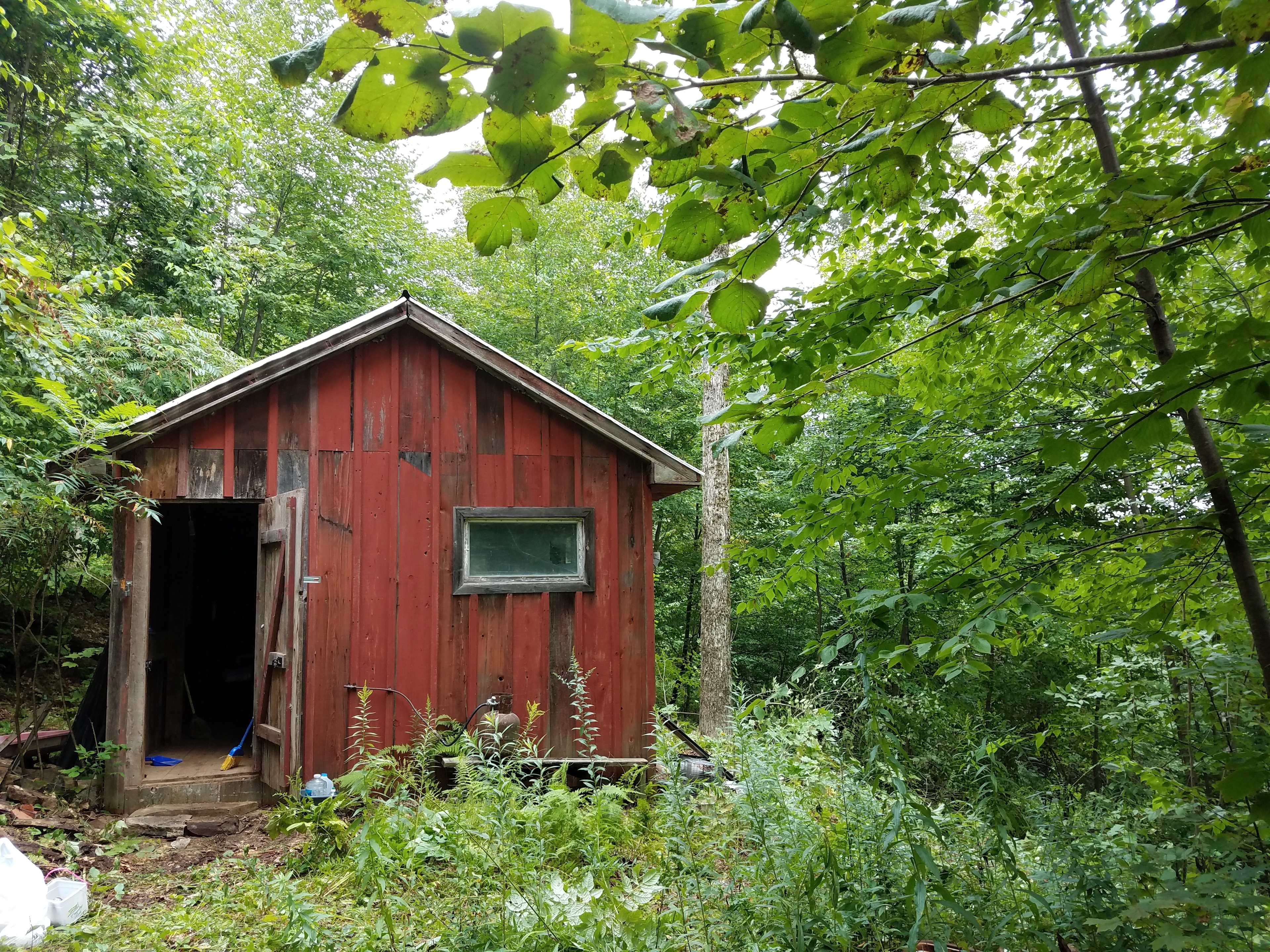 Front of cabin