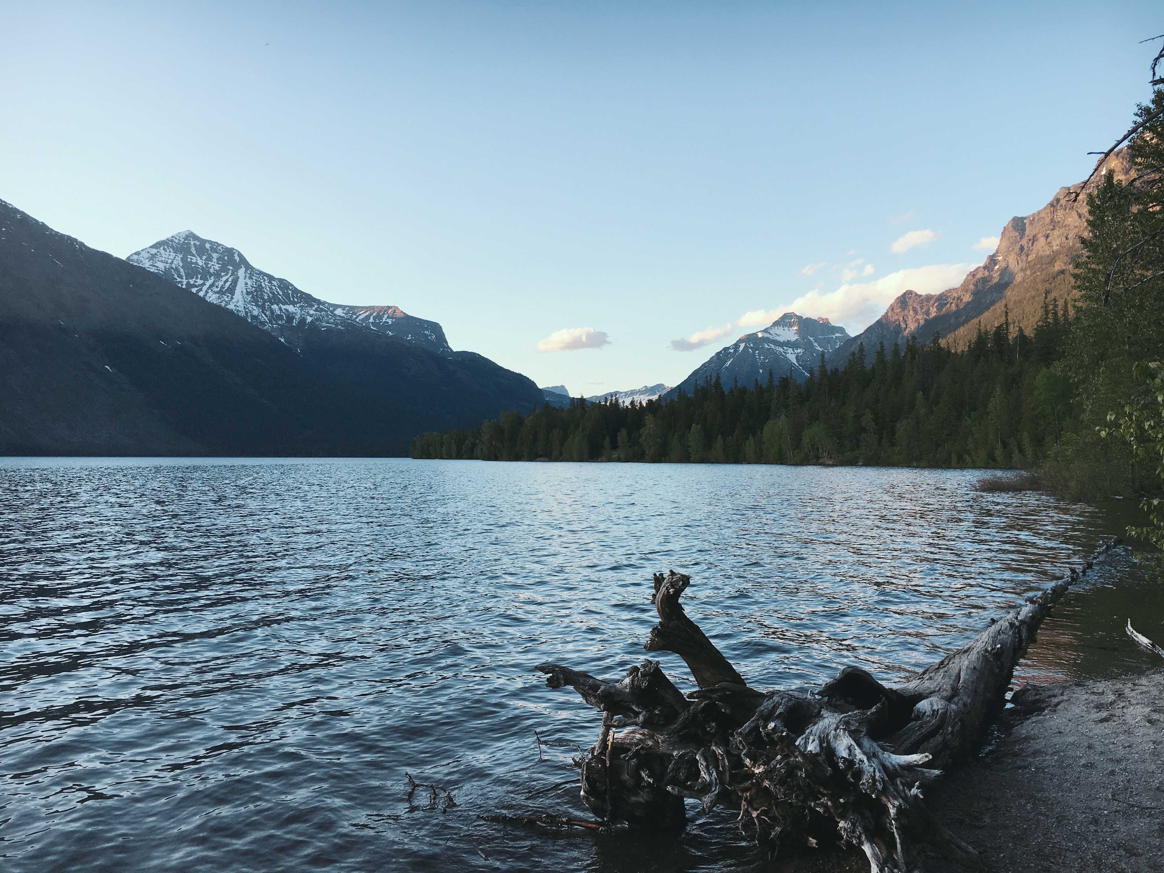 Sprague Creek Campground
