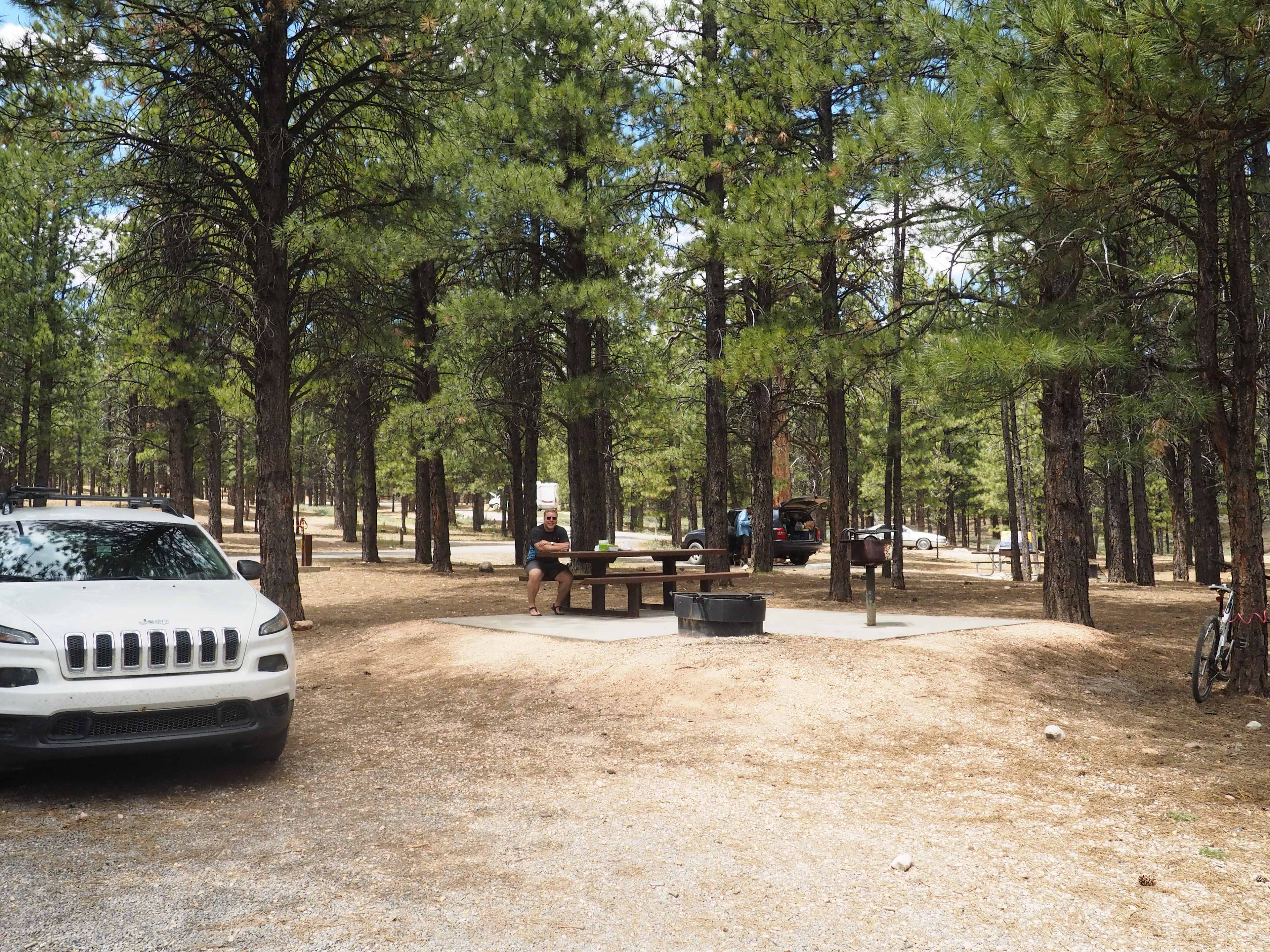 Our spacious campsite for the week