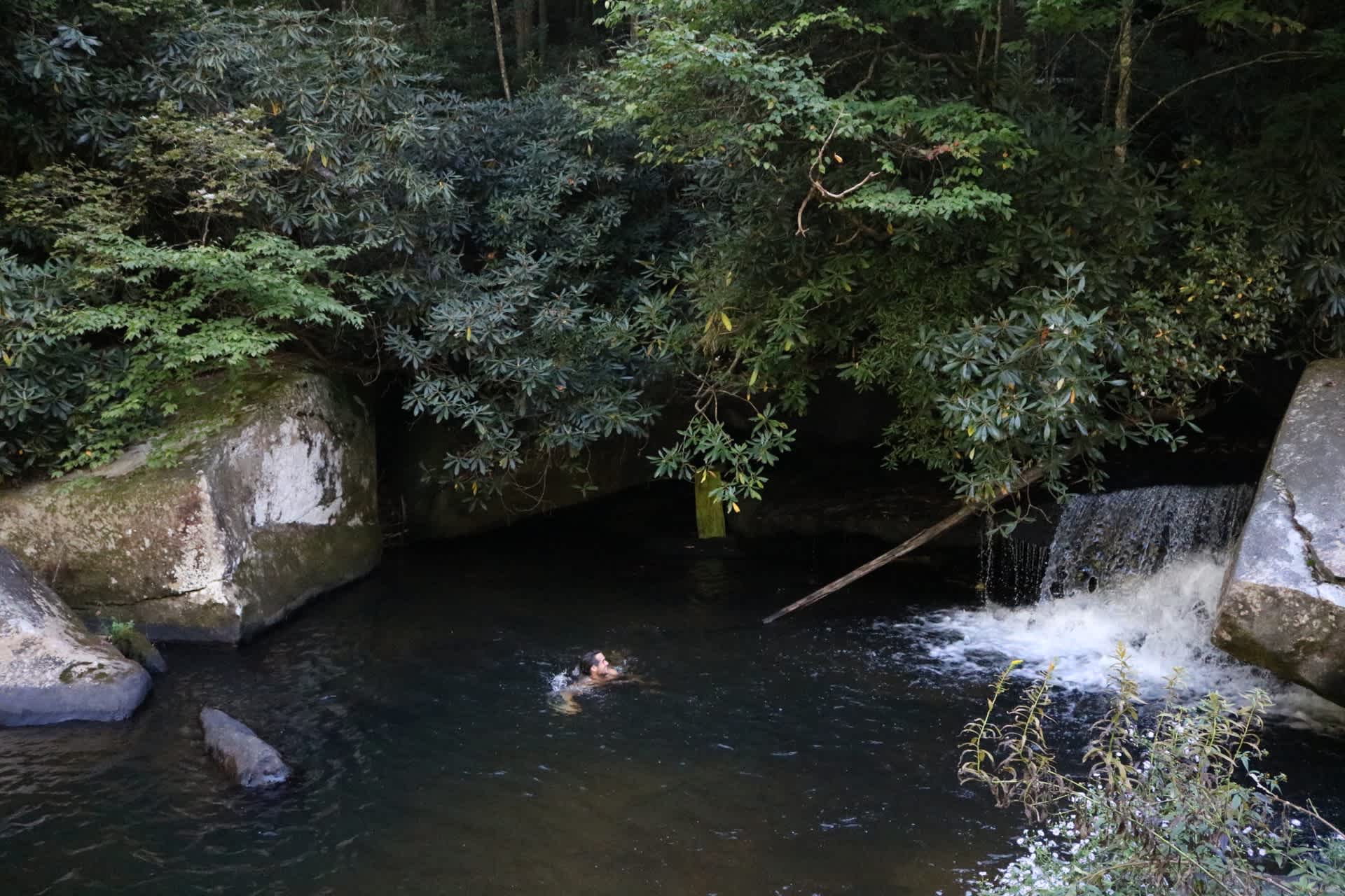 Davidson River Campground