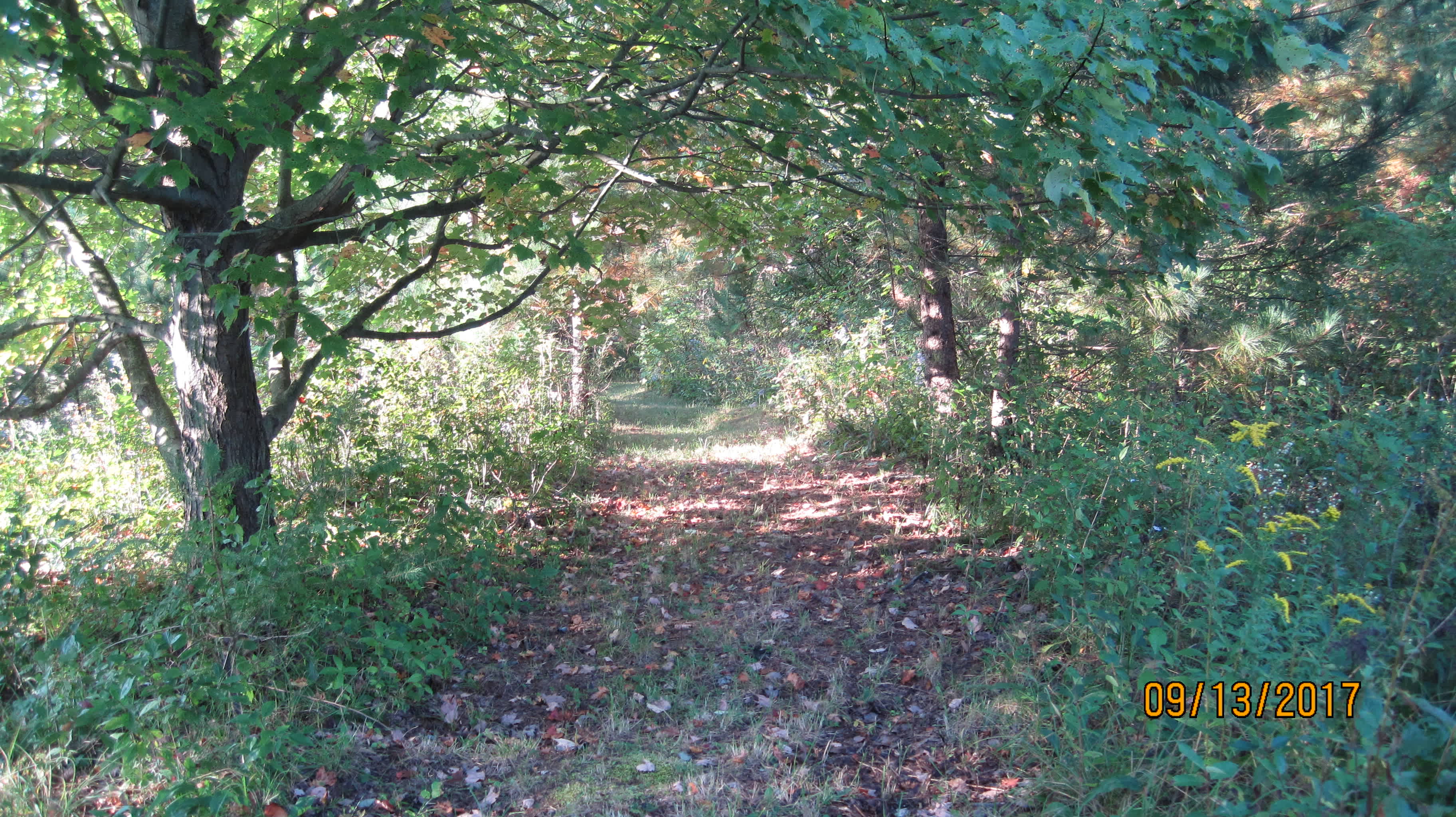 Lots of trails available