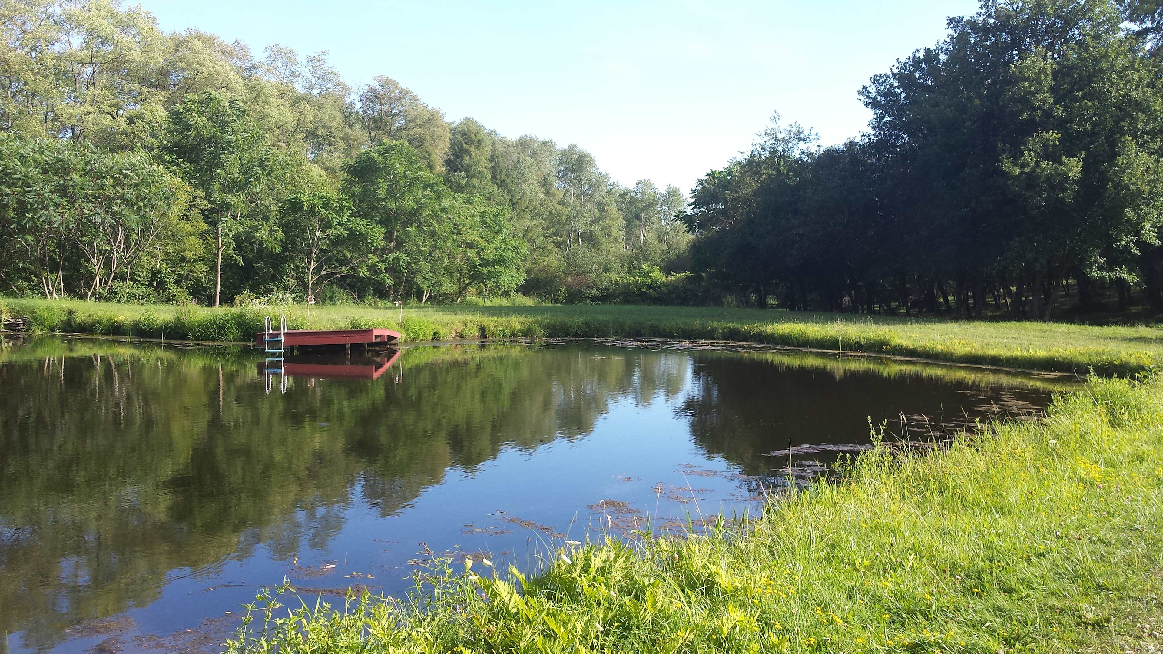 The Pond