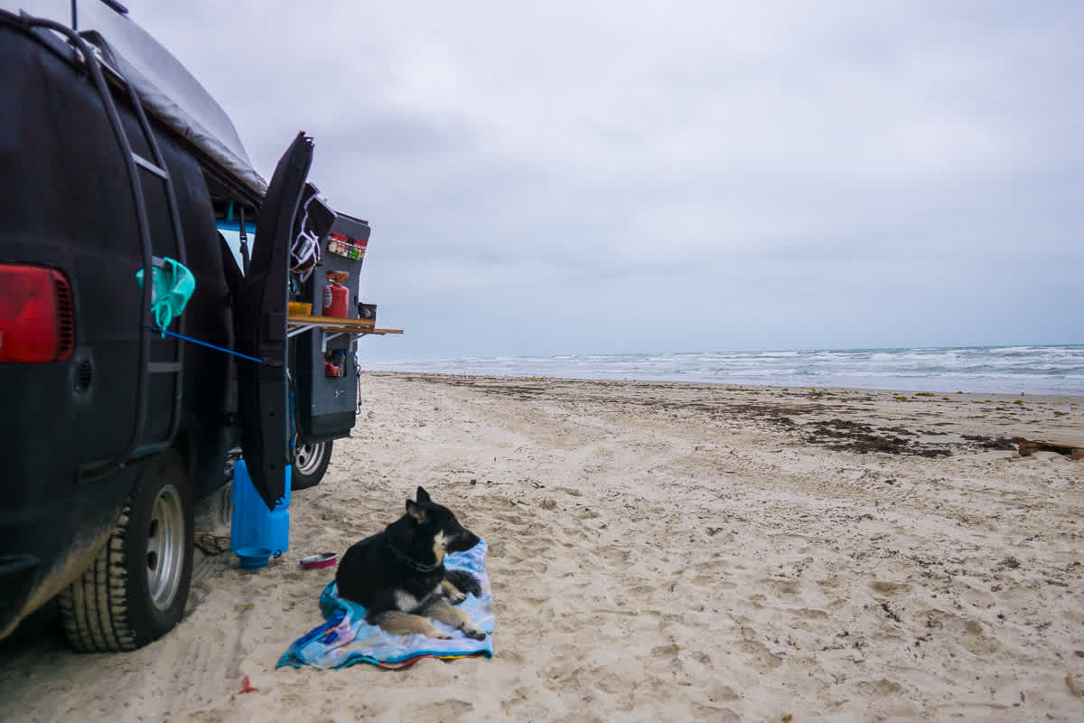 Beach life right next to the water!