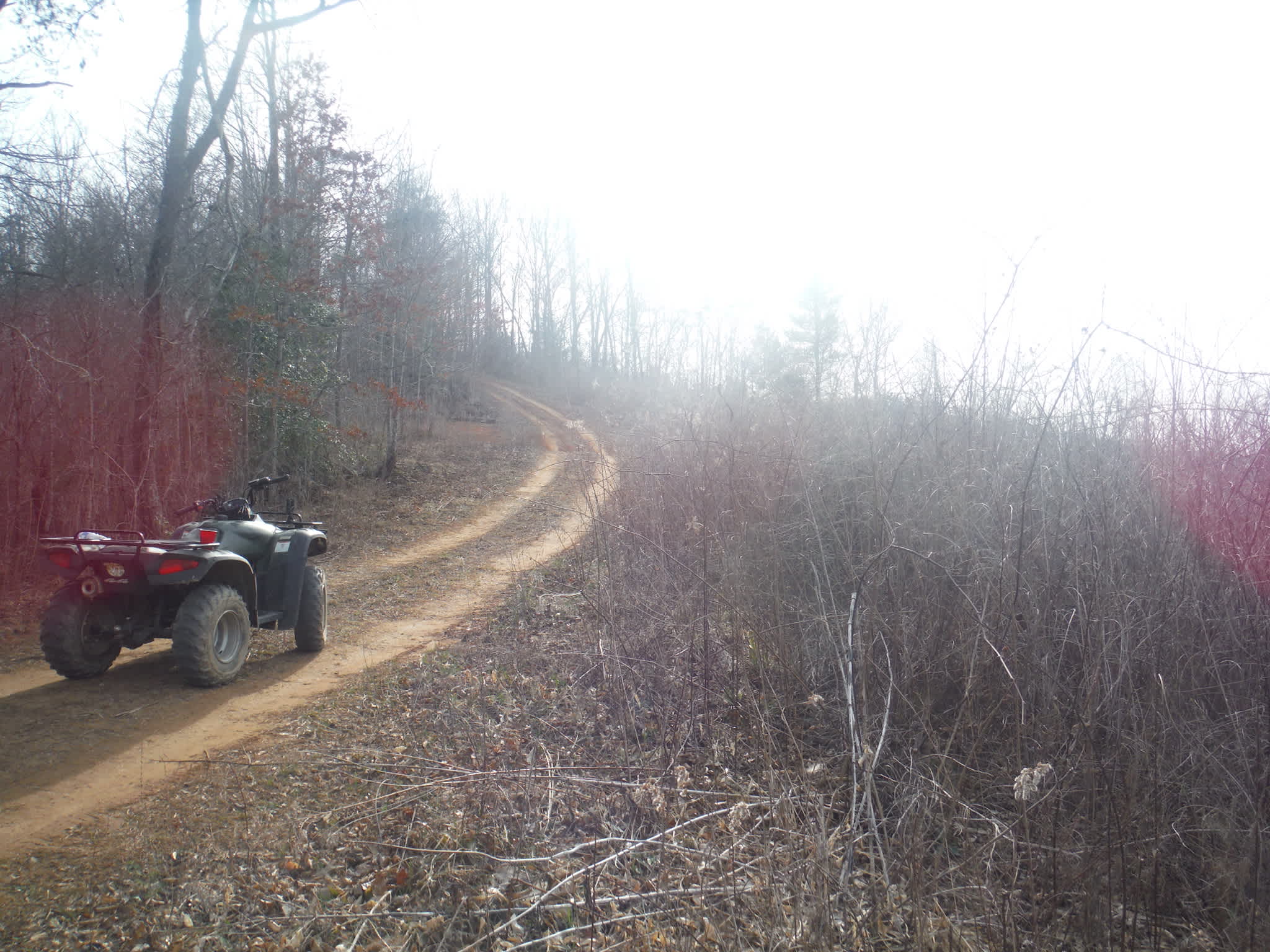 Road to the ridge!