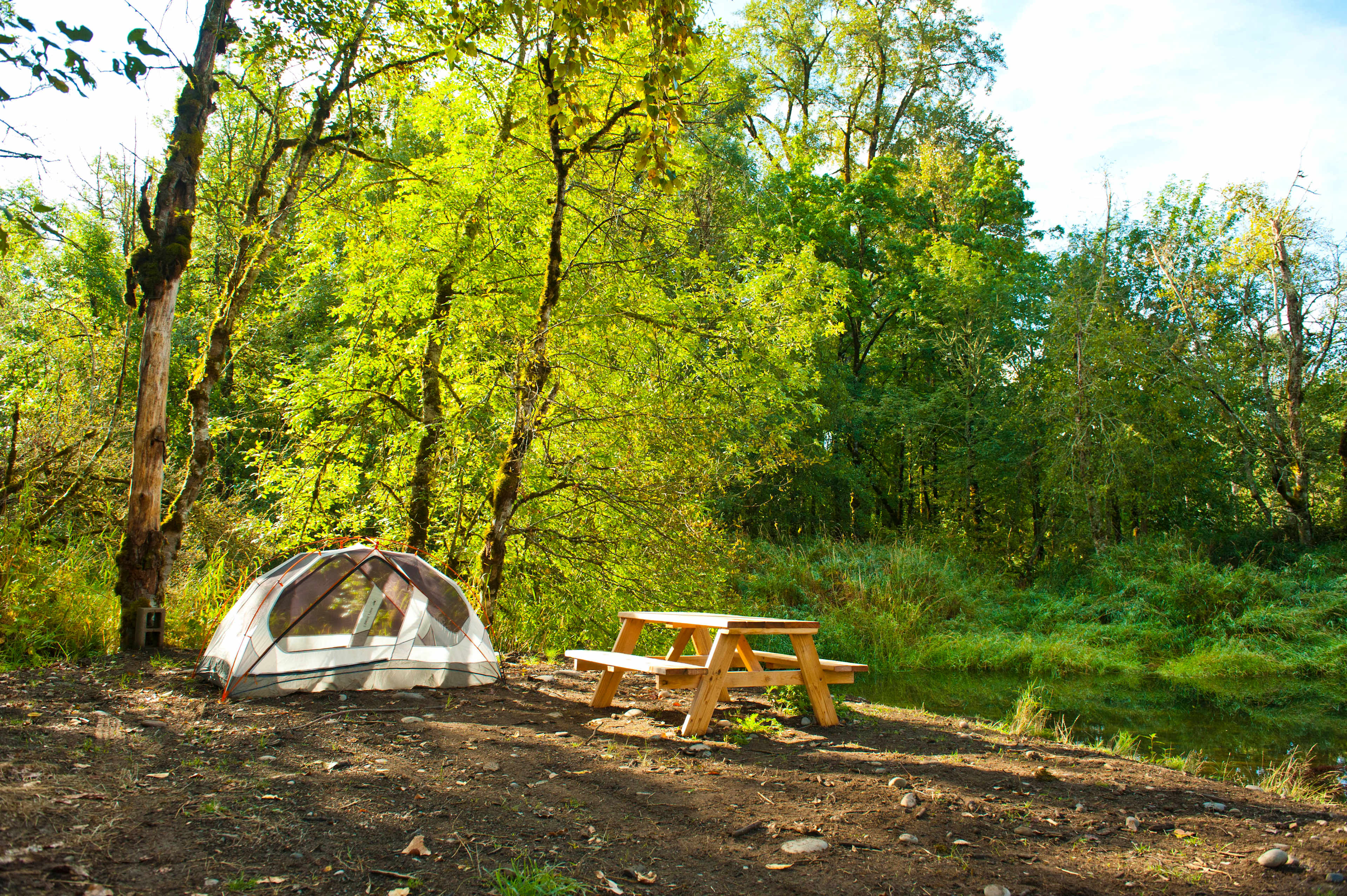 Picture of the site