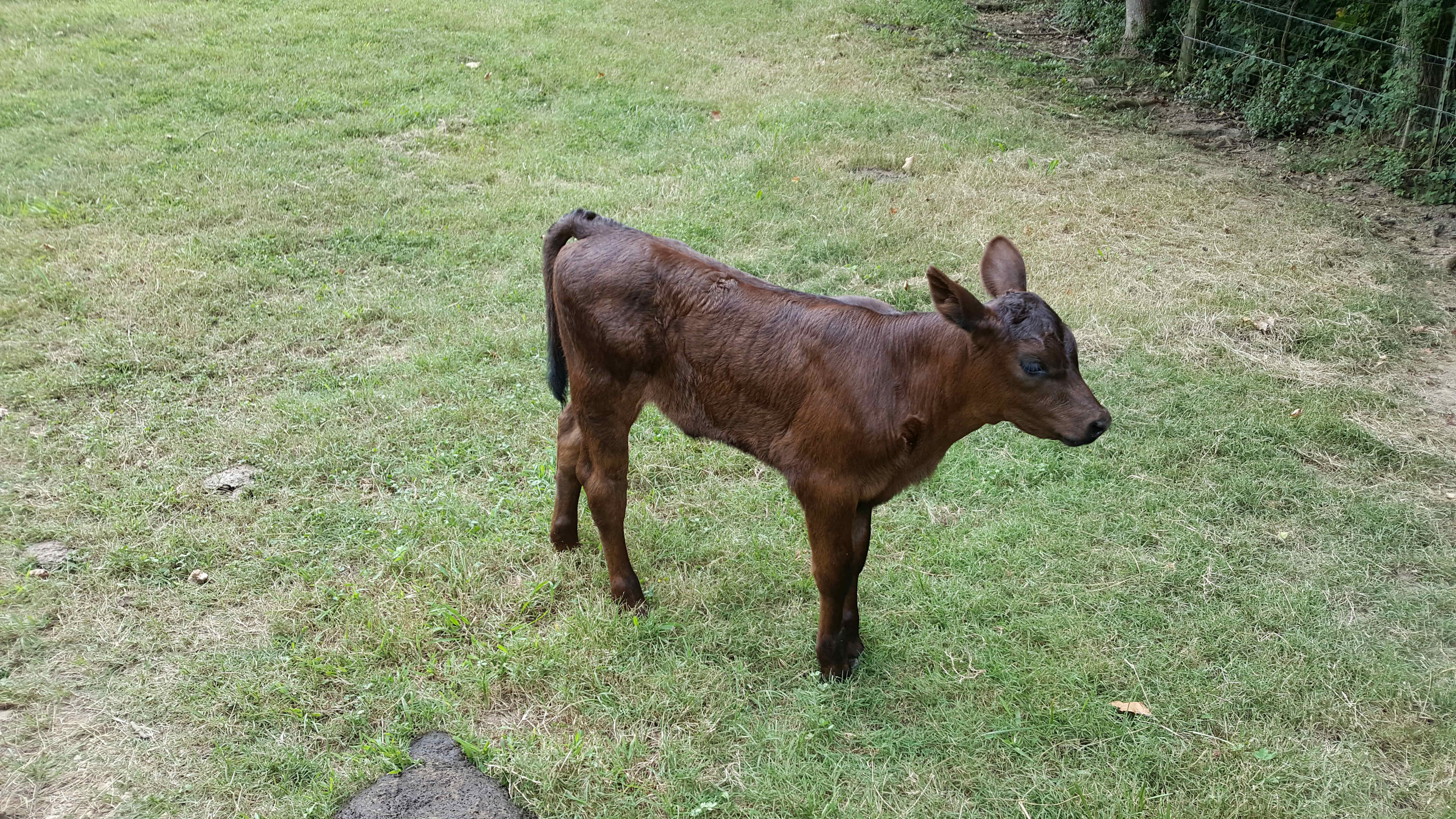 Munson Hill Farm