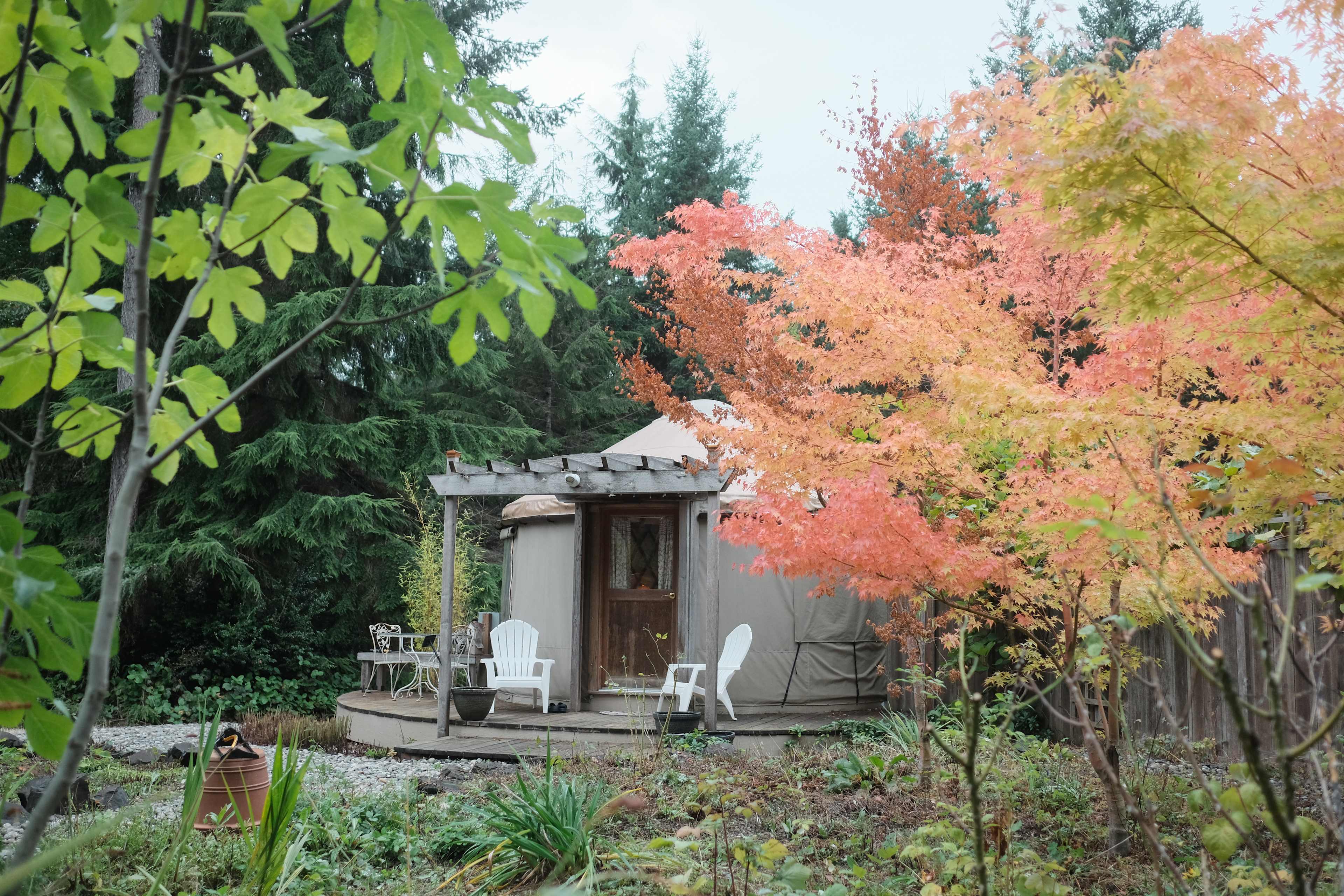 The yurt, spotted from across the garden. 