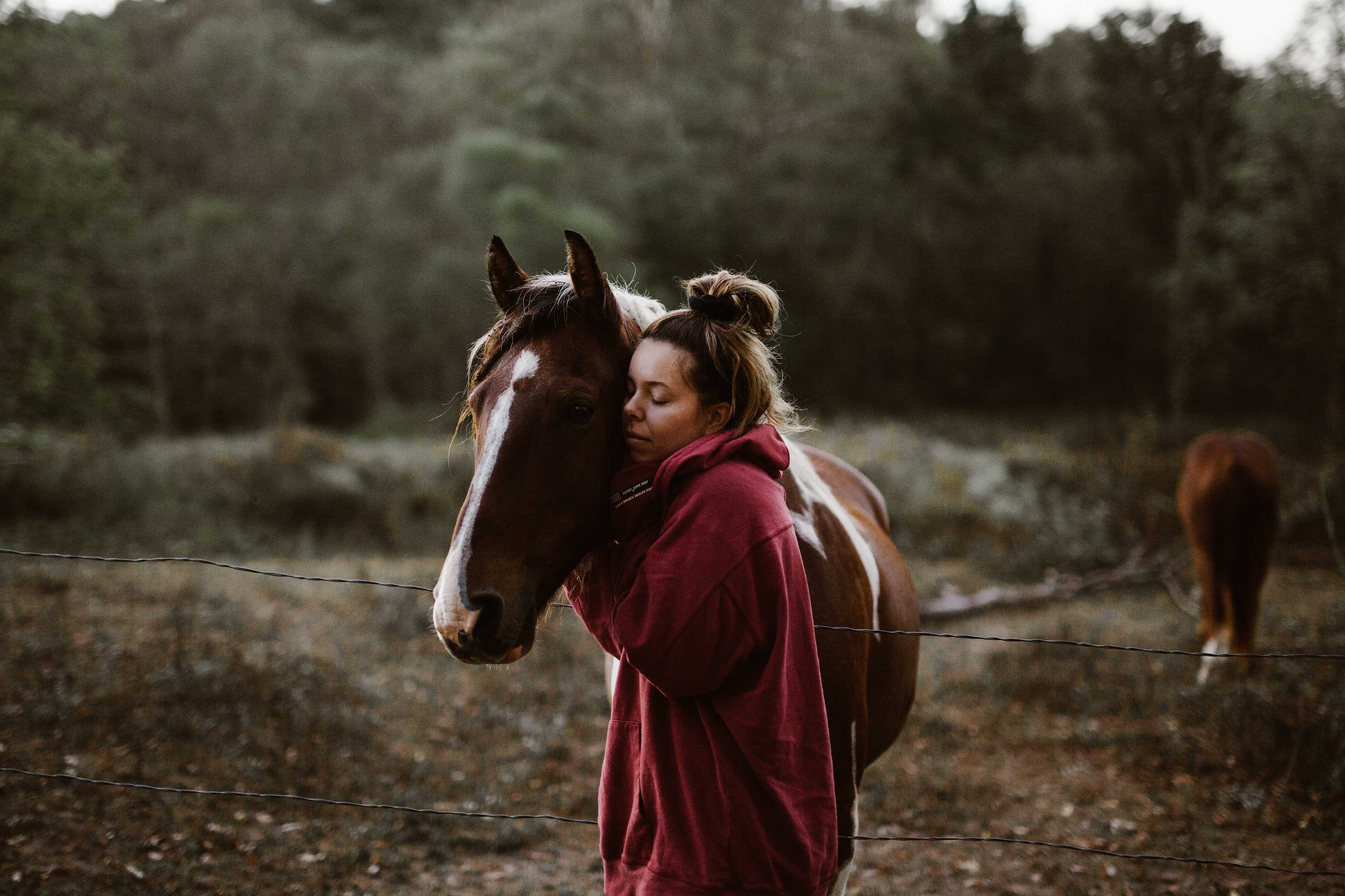 The most friendly horses.
