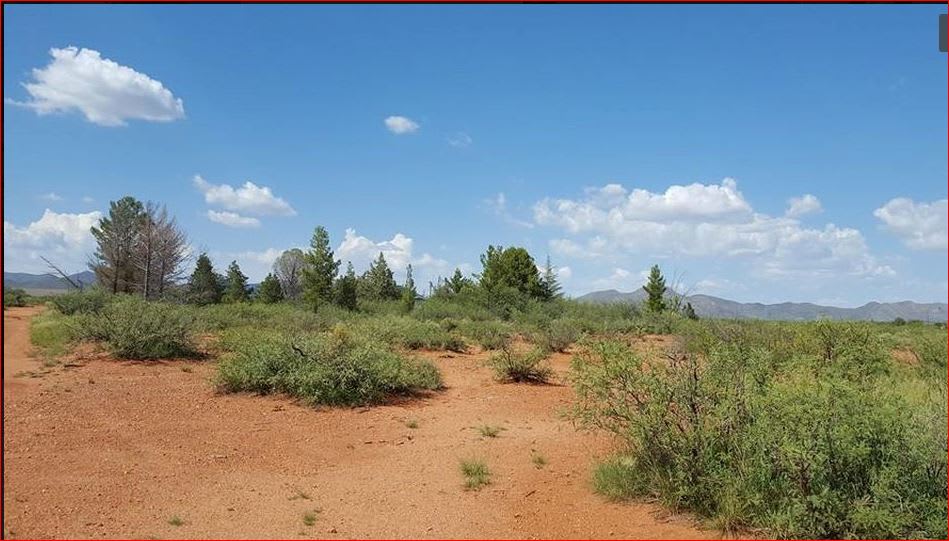 High Desert Surrounded by Mule Mountain Range and Mexican Border
