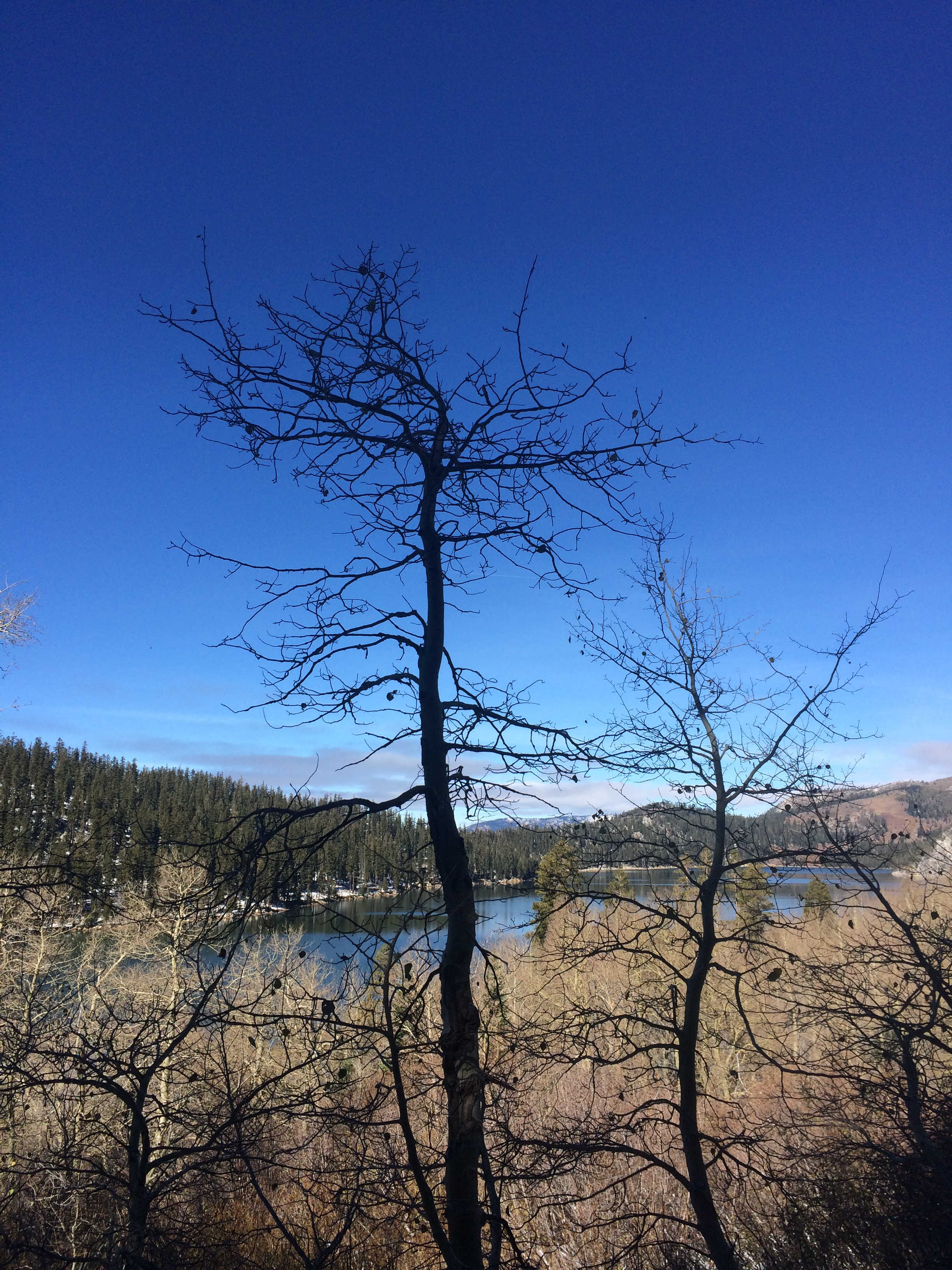 Marlette Lake