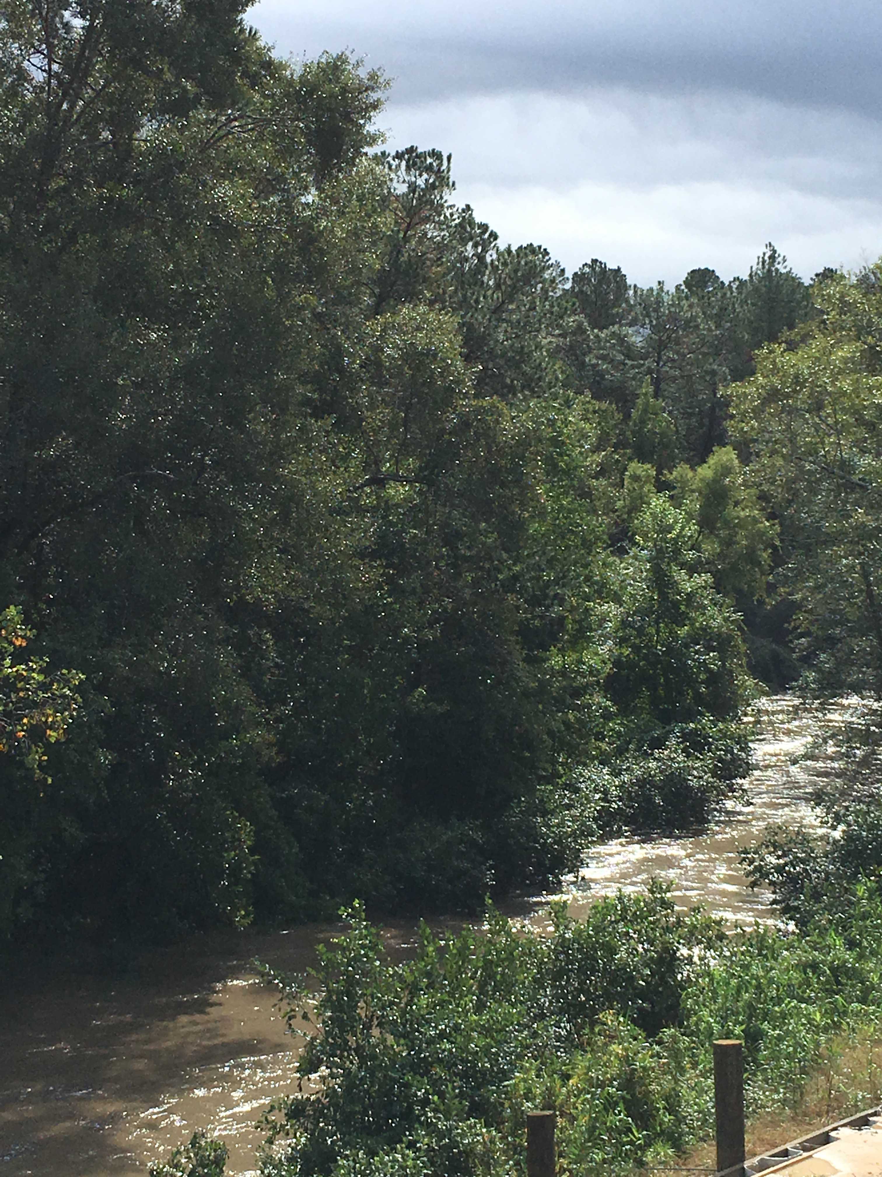 After a huge rain the creek has become a small river. 