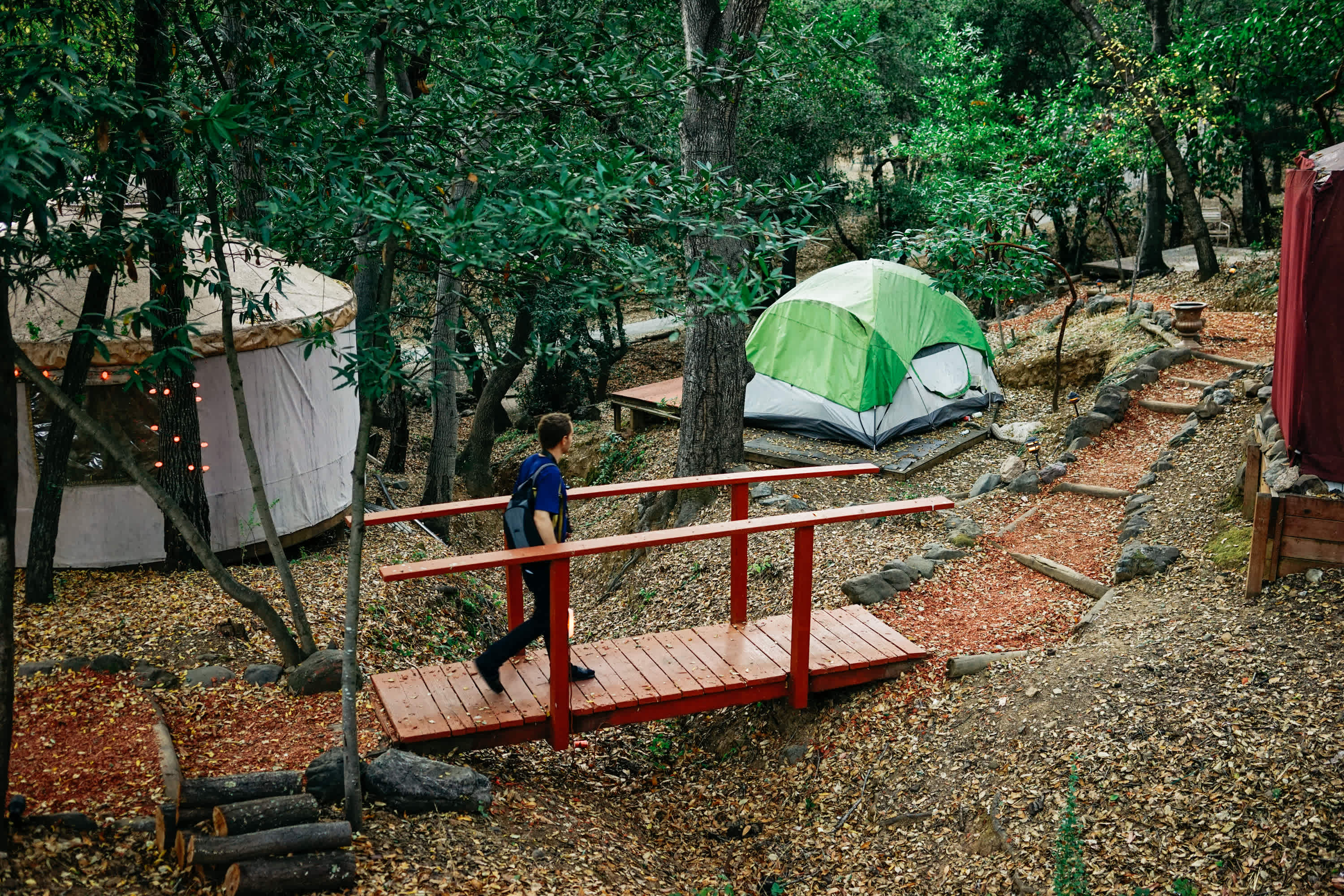 Lupin Lodge