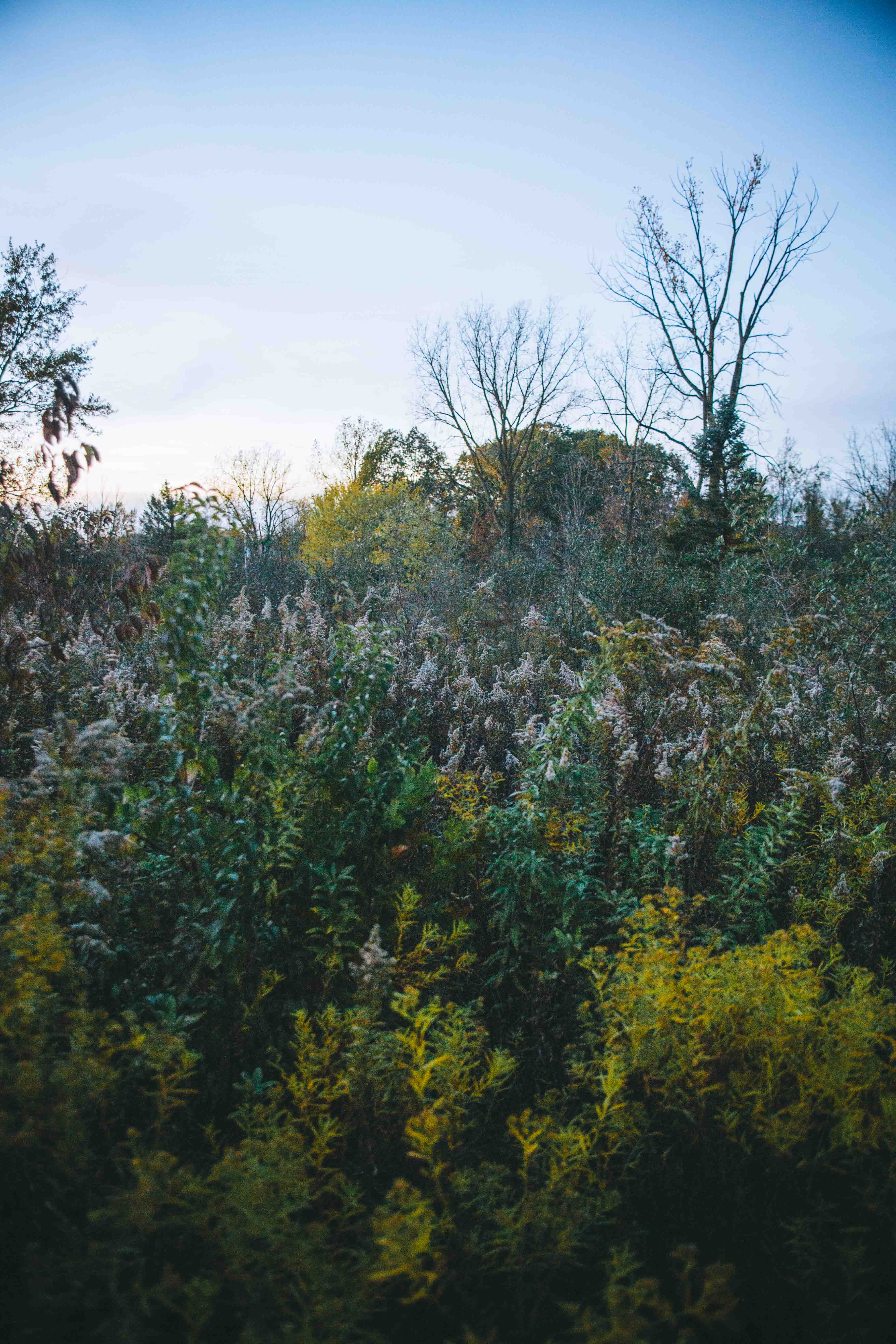 I am so in love with the amount of colors in the brush, its such a beautiful wildlife refuge!