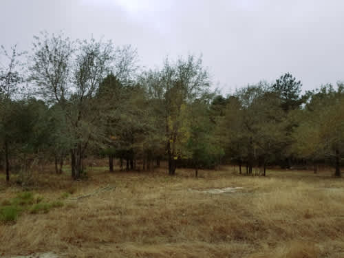 Mallard Haven