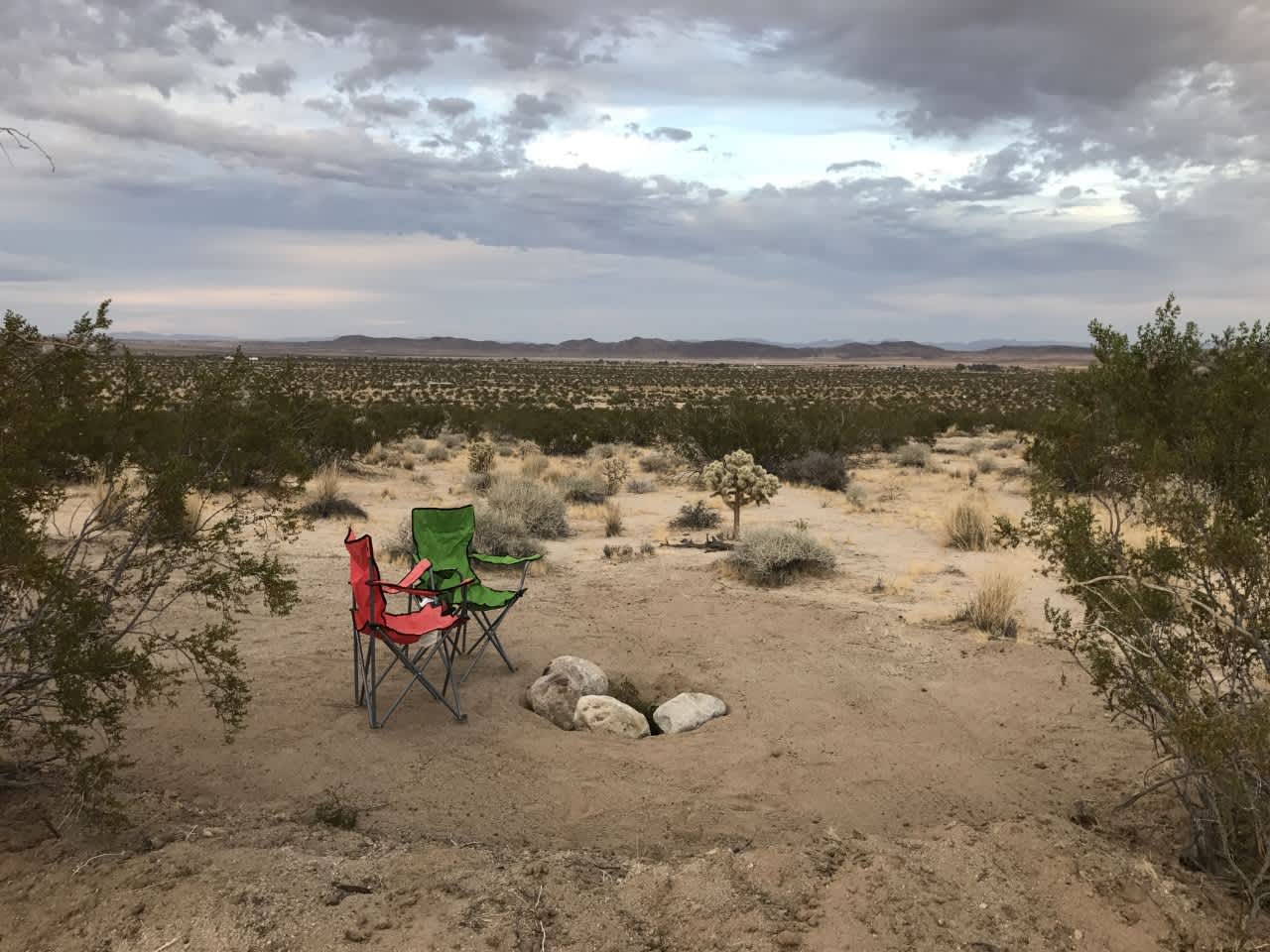 Roni's Perfect JTree Paradise