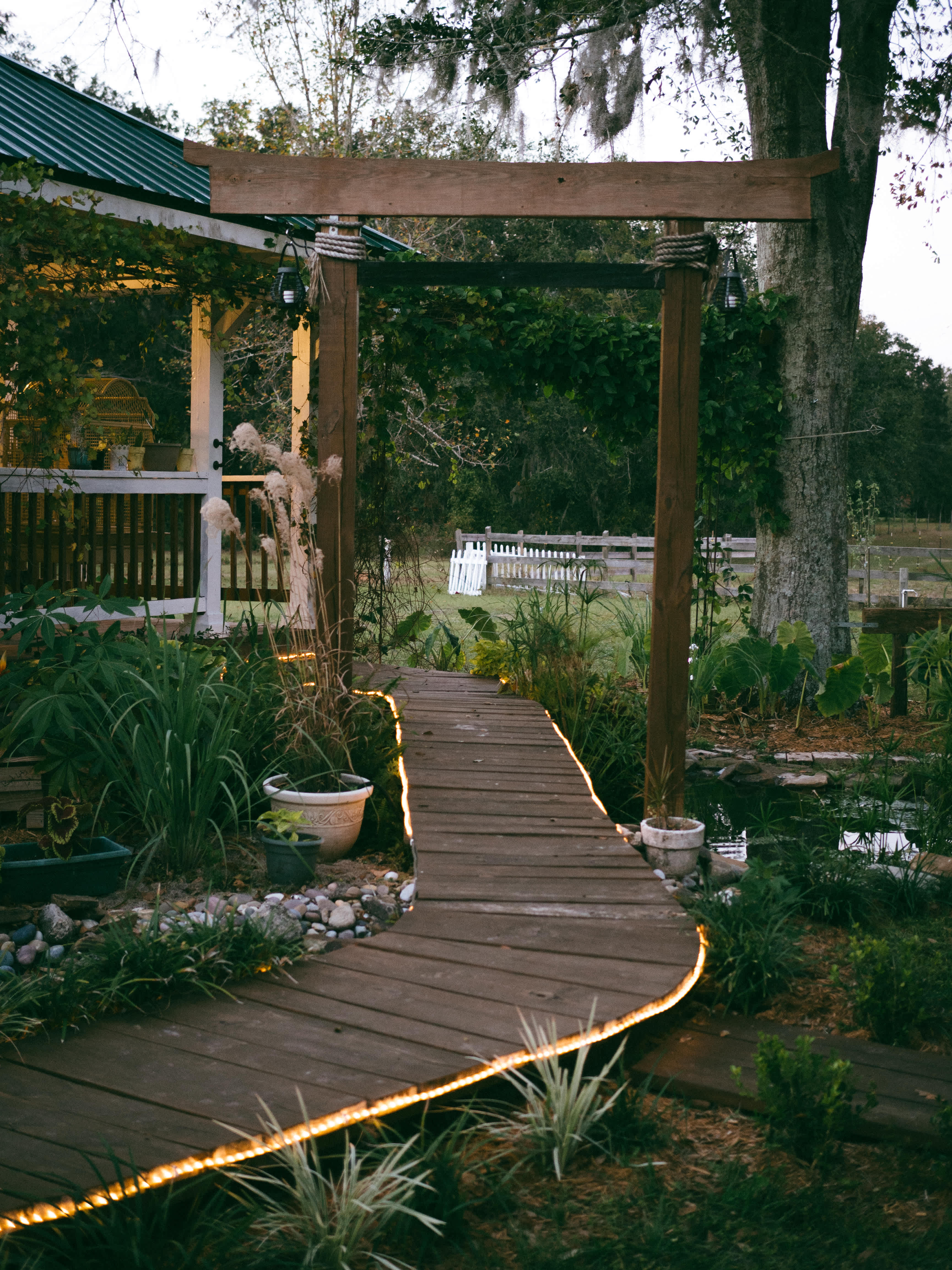 Picture of the site