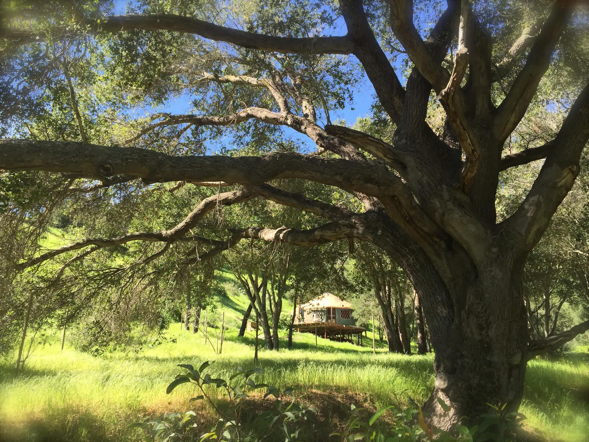 Glorious, private, nature retreat in Santa Barbara!