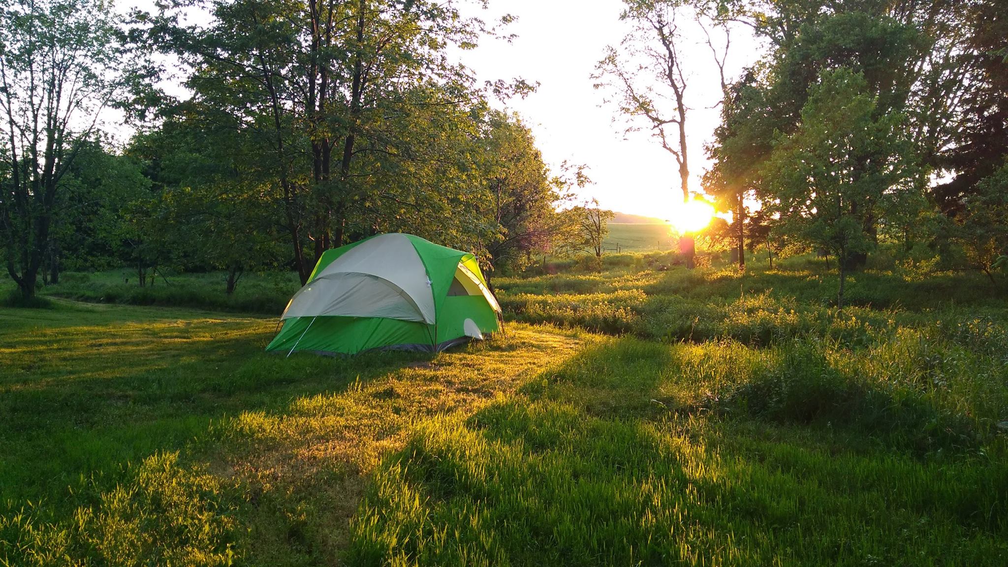 Photo of camp site