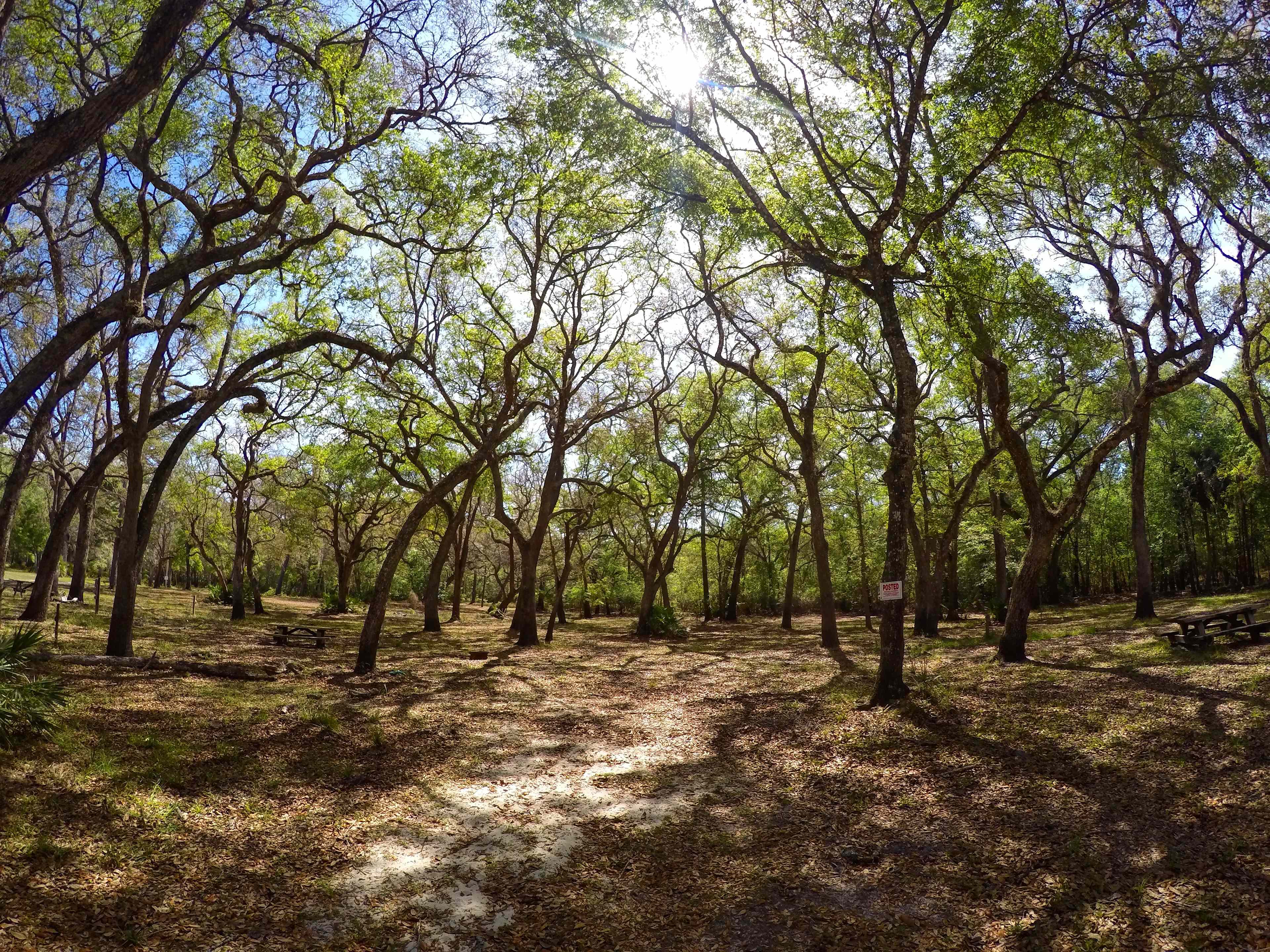 Suwannee River Cove Campground