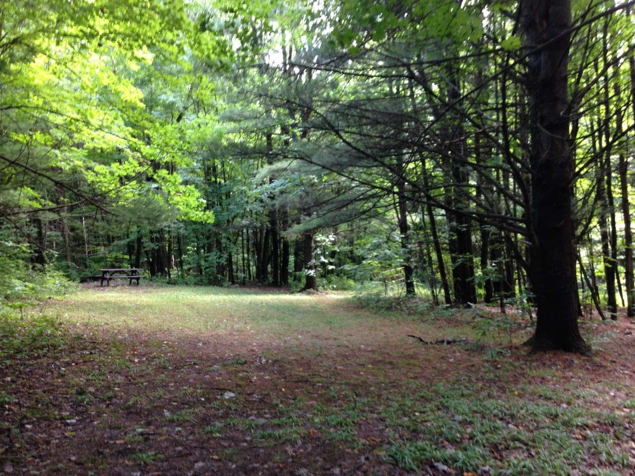 Picture of the site