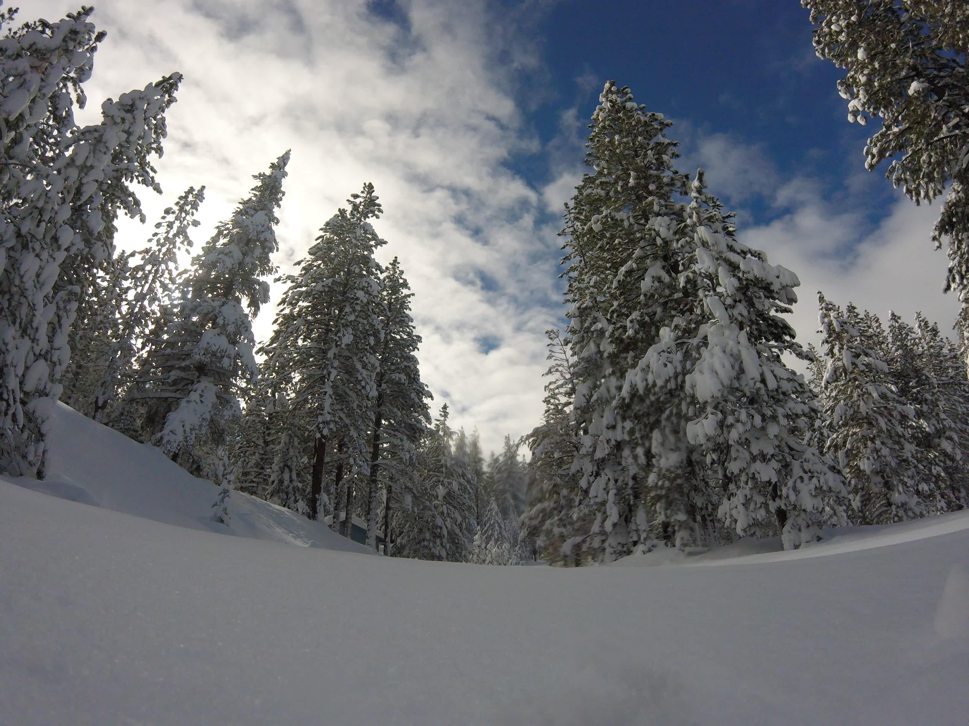 Lake Davis Campground