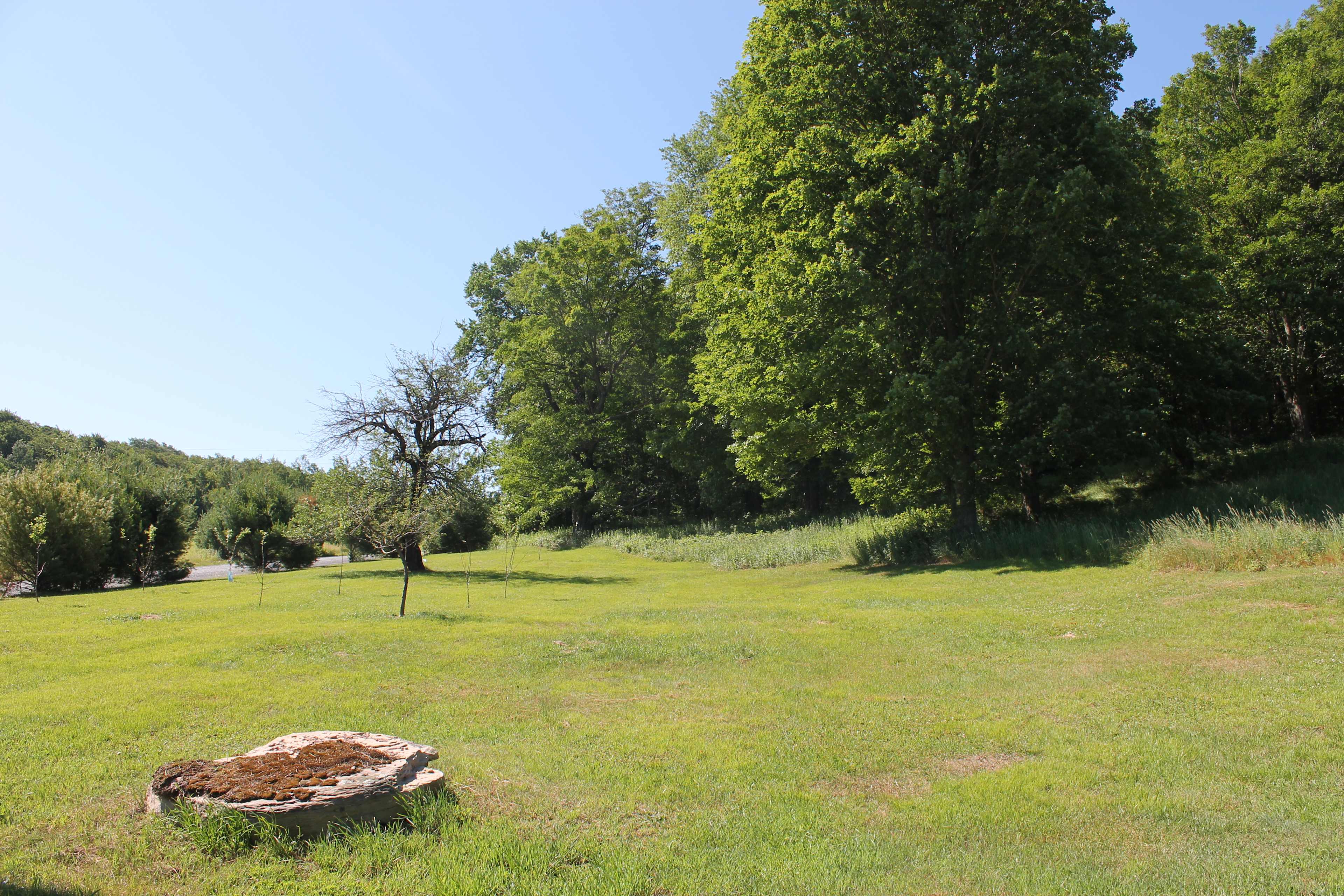 view from the firepit