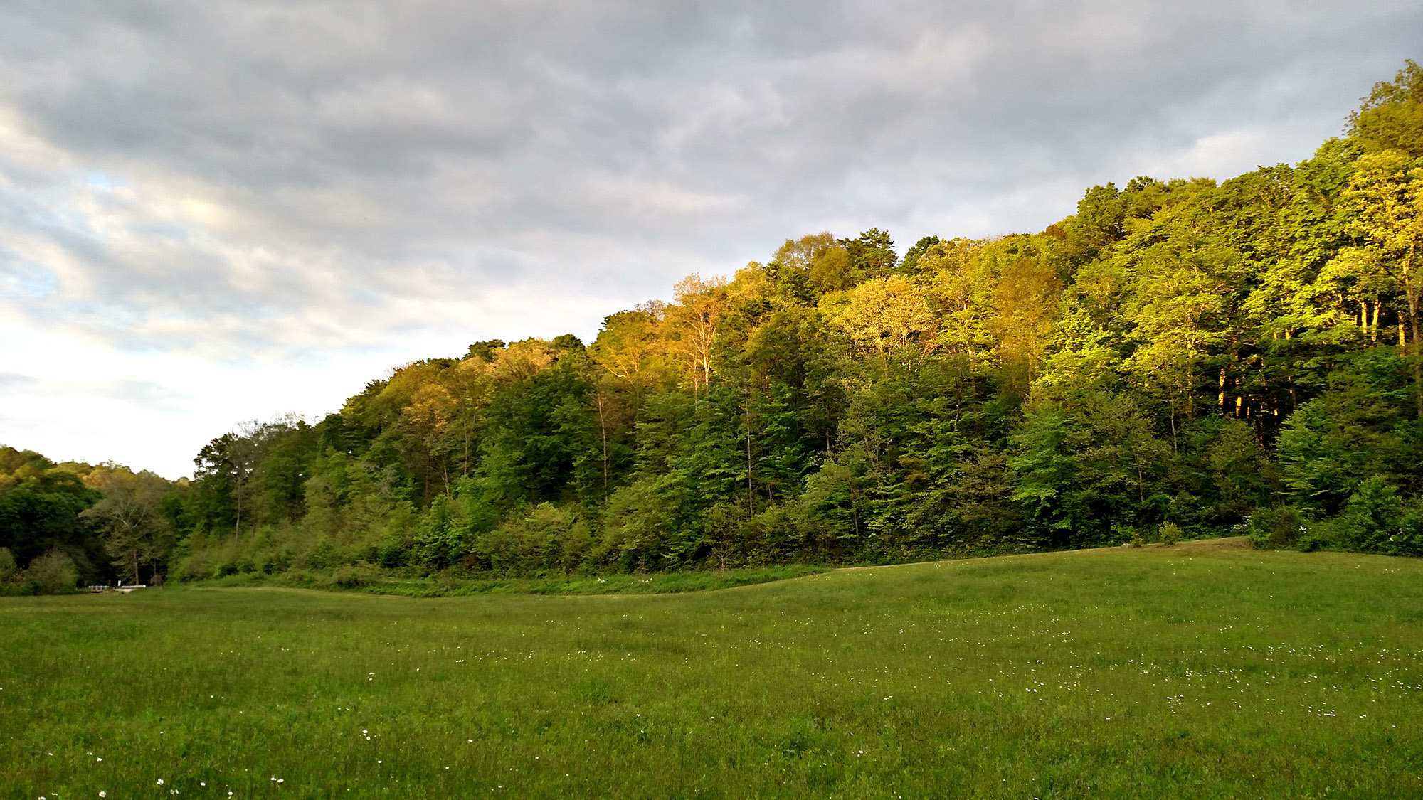 Summer fields and wooded hills