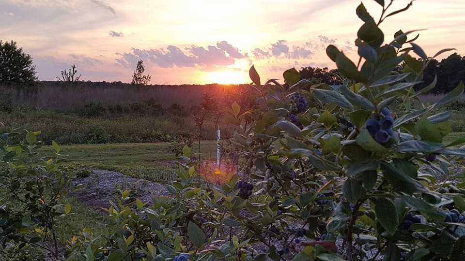 Beautiful Sunsets 