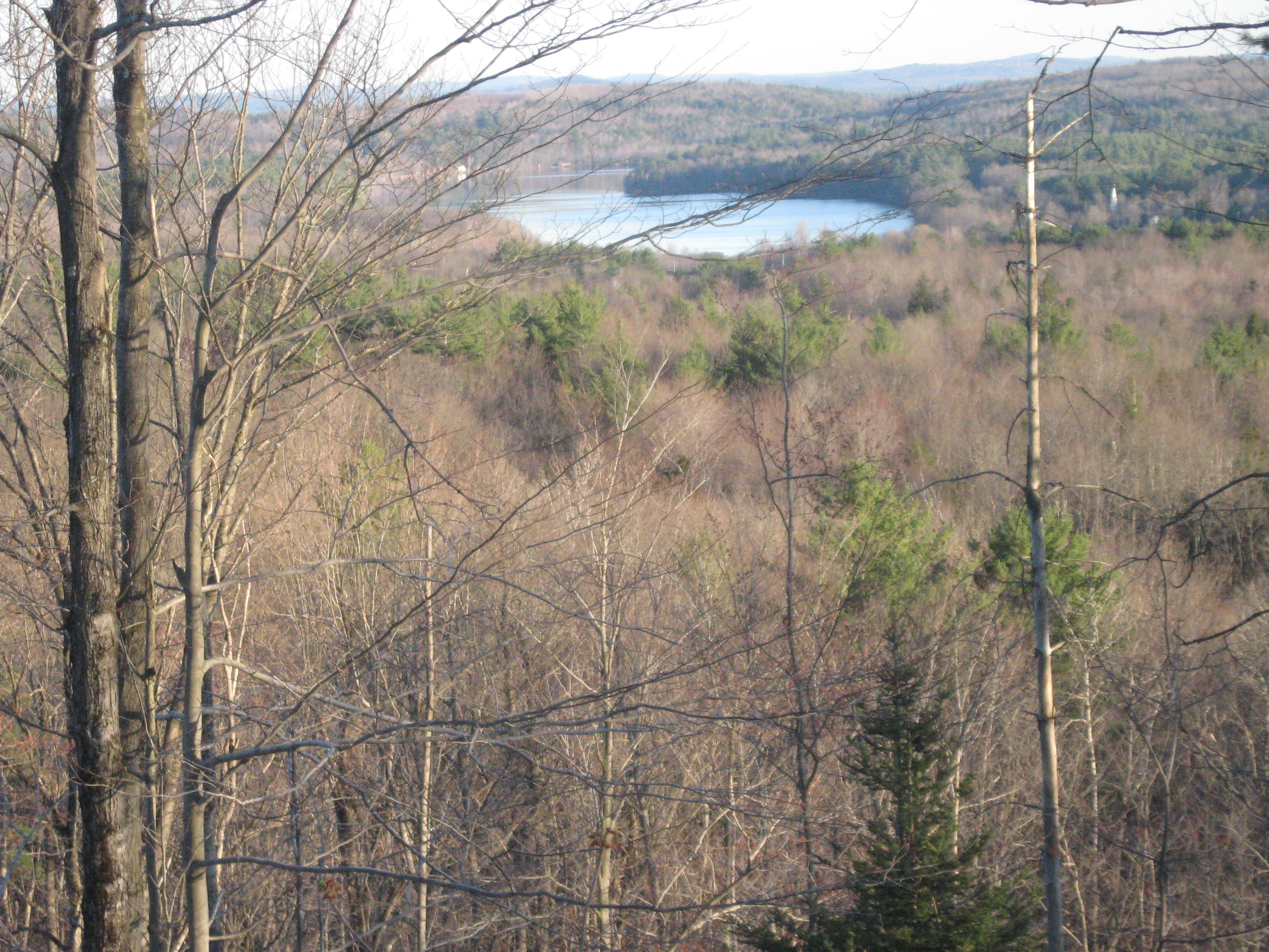 View from the Ridge - Long Pond