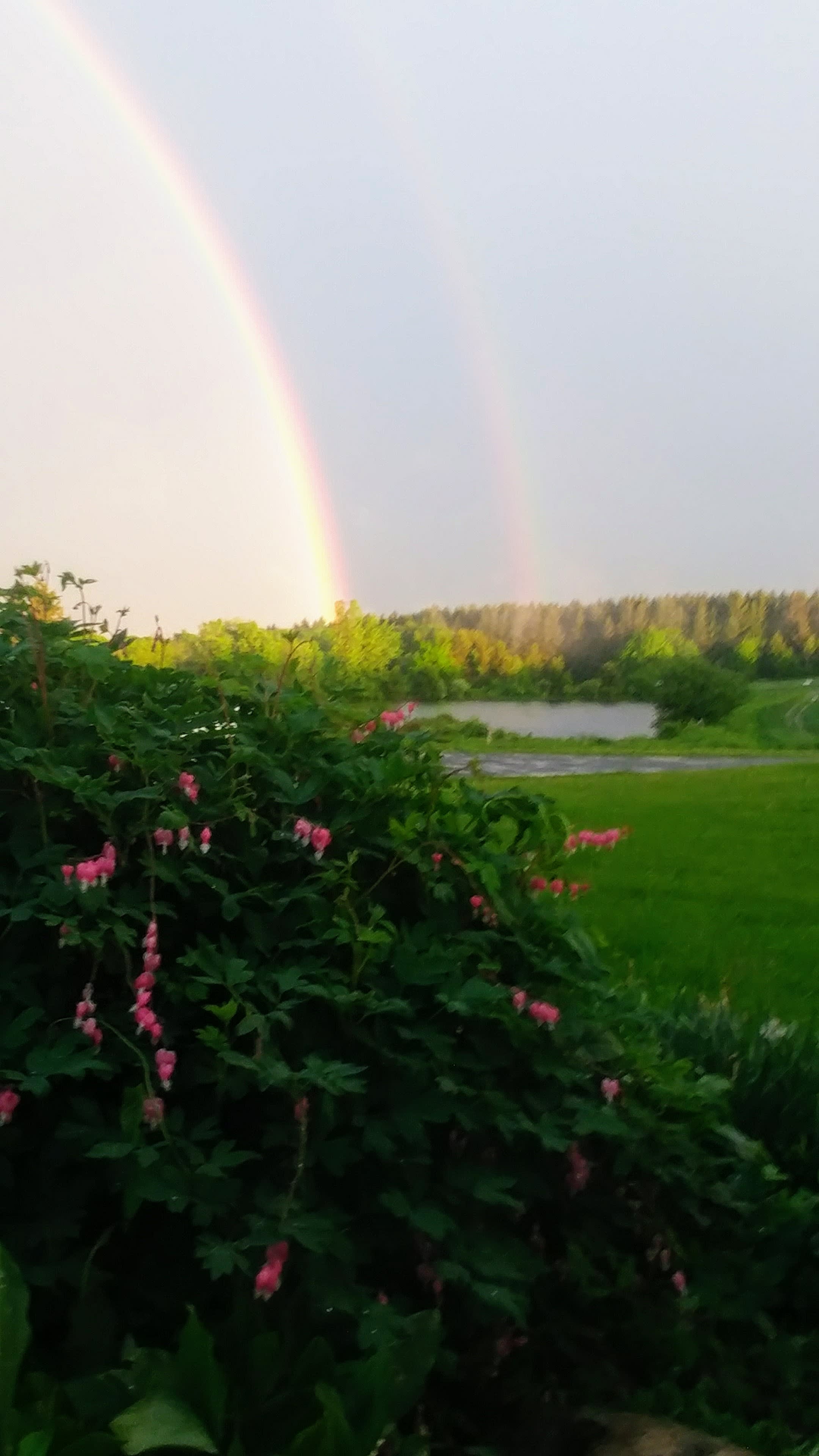 View of 5 acre pond from main house