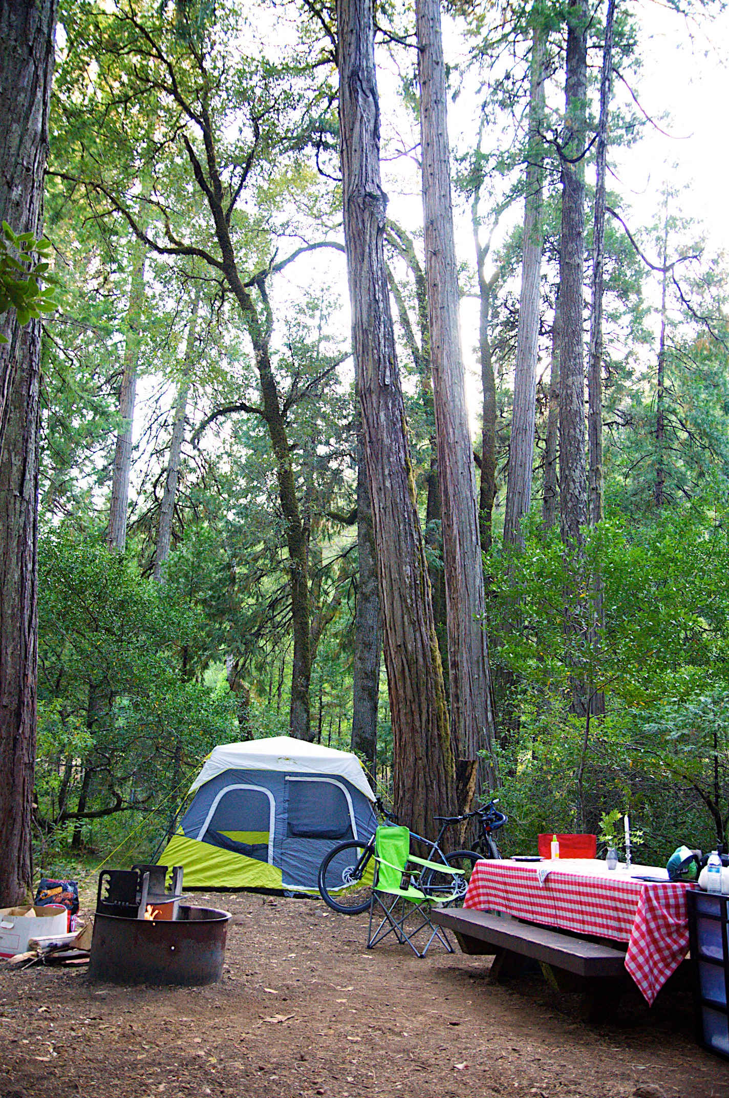 Trail site #2, very easy walk from the parking spots