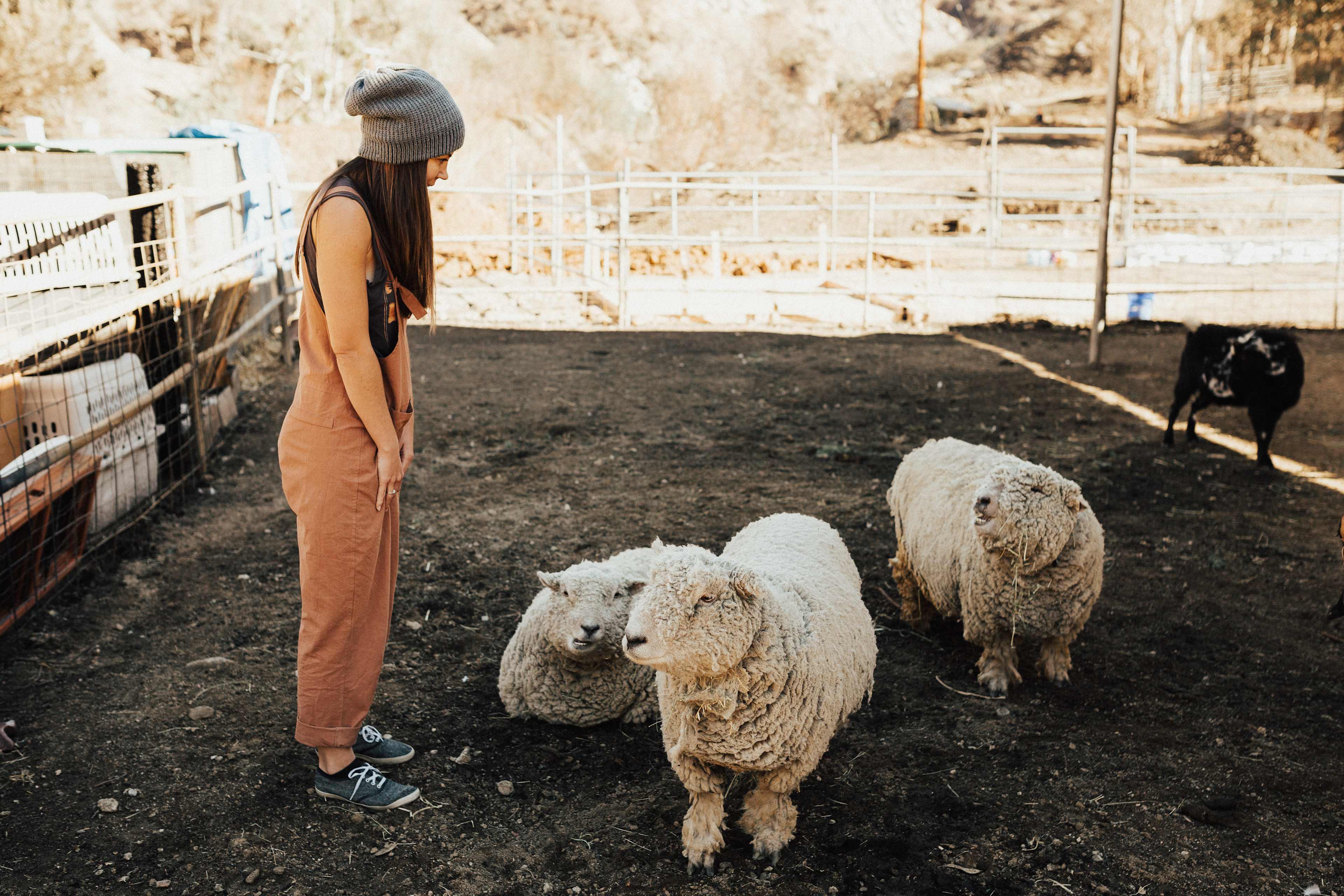 Reptacular Ranch Zoo