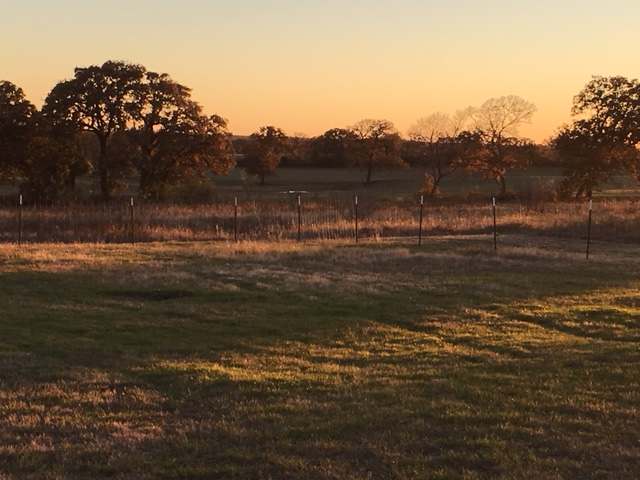 Coyote Creek Farm