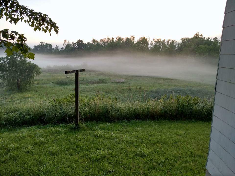 Finger Lakes Wine Country