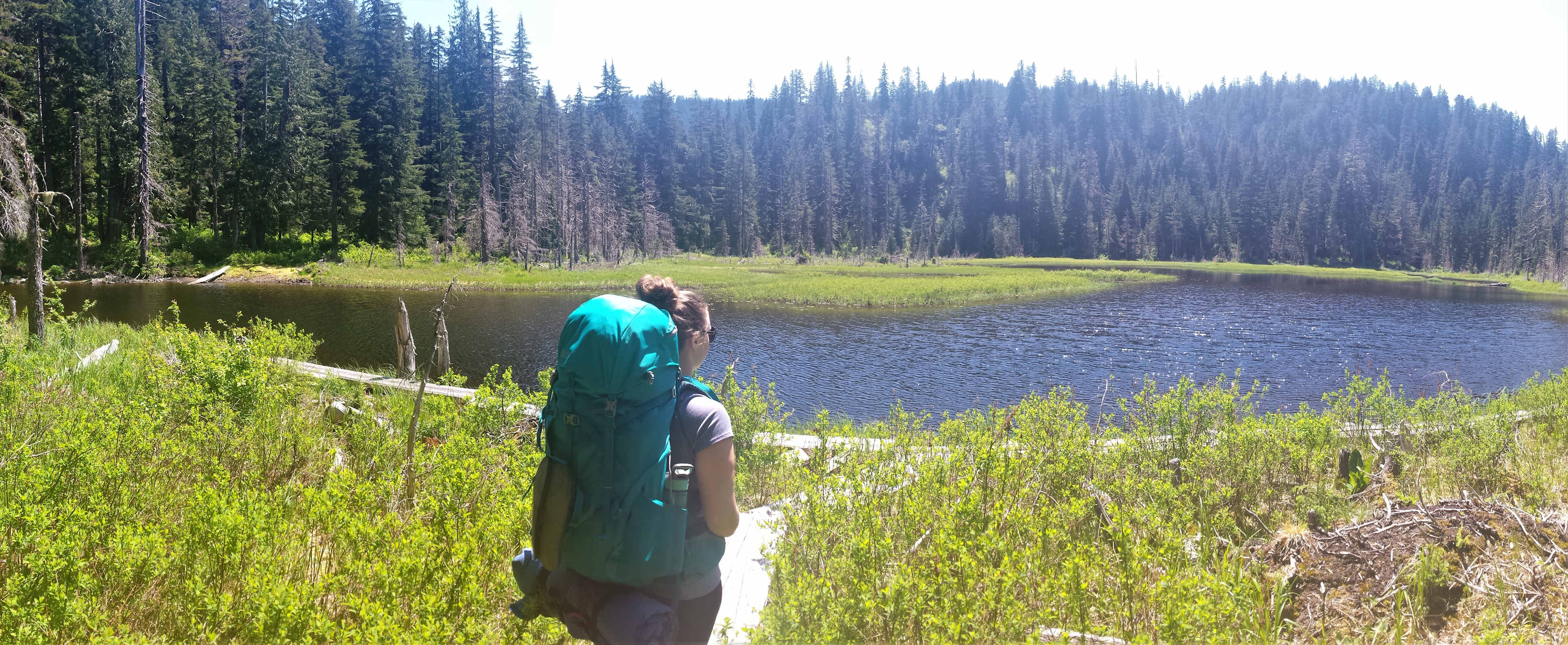 Boardwalk around Beaver Plant Lake, on the way down to Ashland Lakes. 