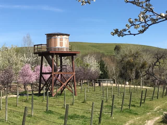 Hartley Farms Organic Orchard