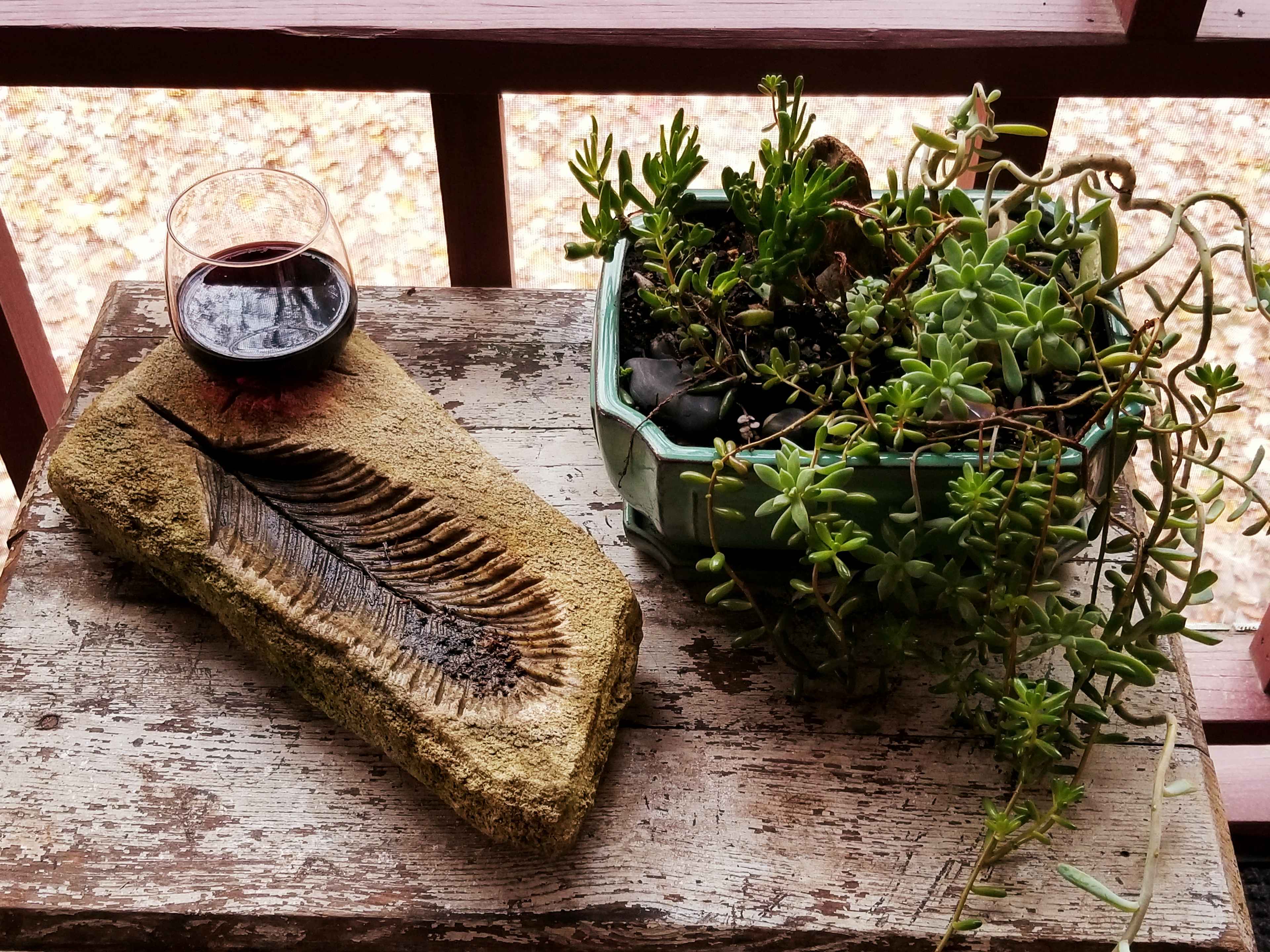 Sacred Roots