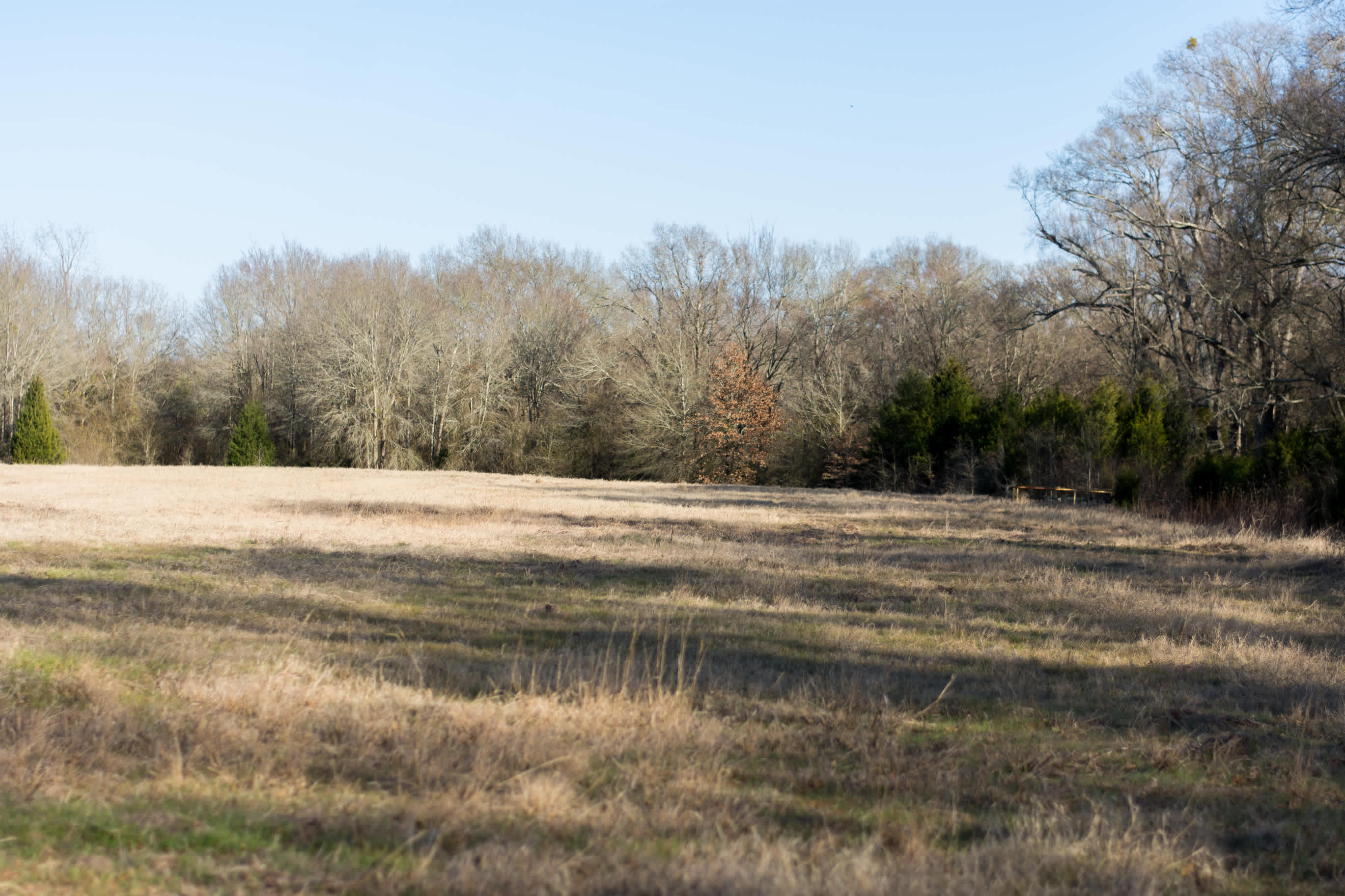 3Lfarm Trinidad TX