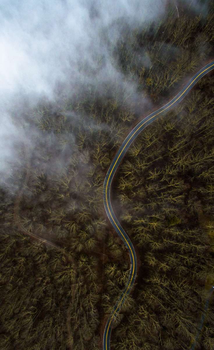 Foggy North Carolina mornings. 