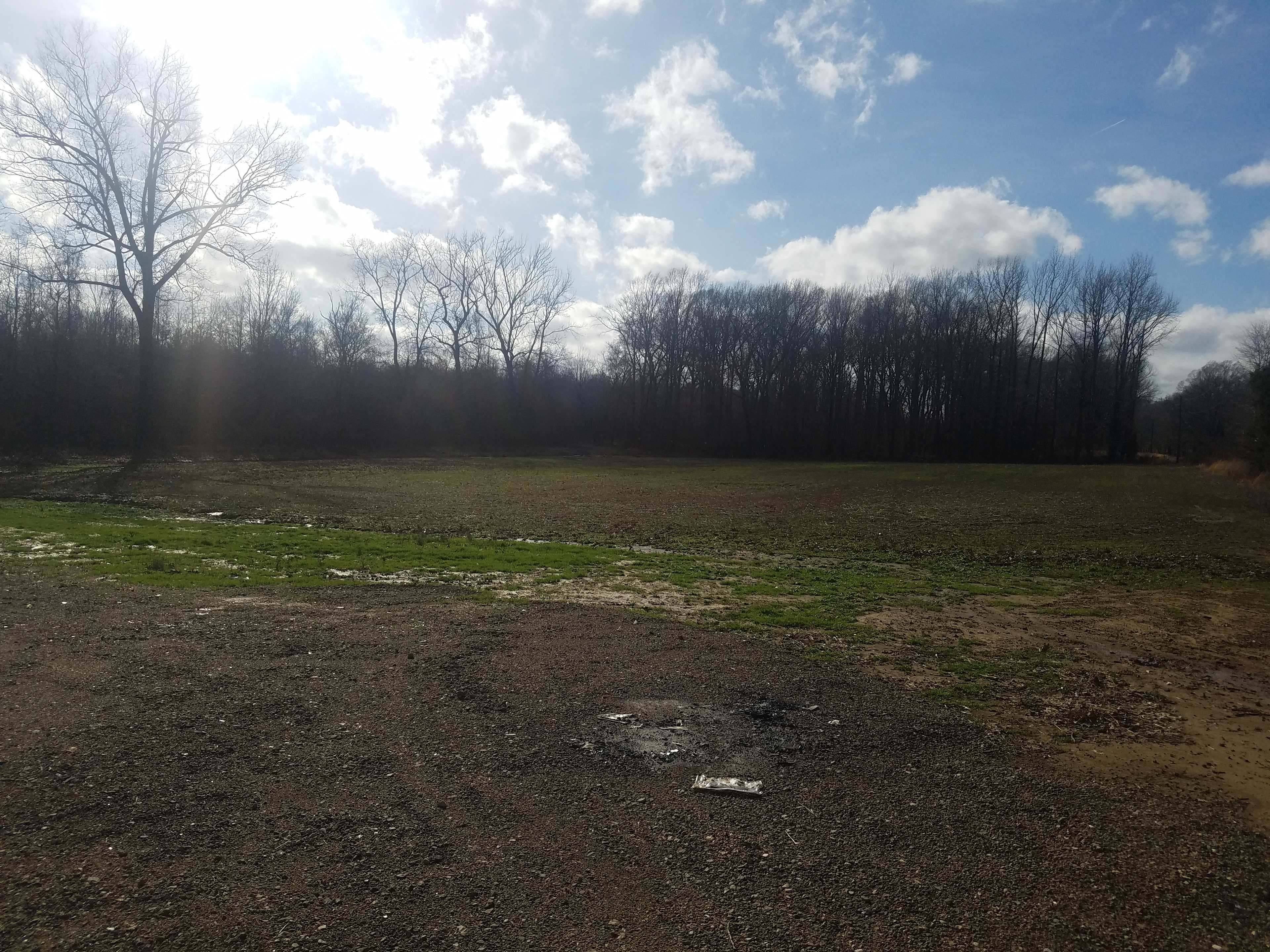 The back field.