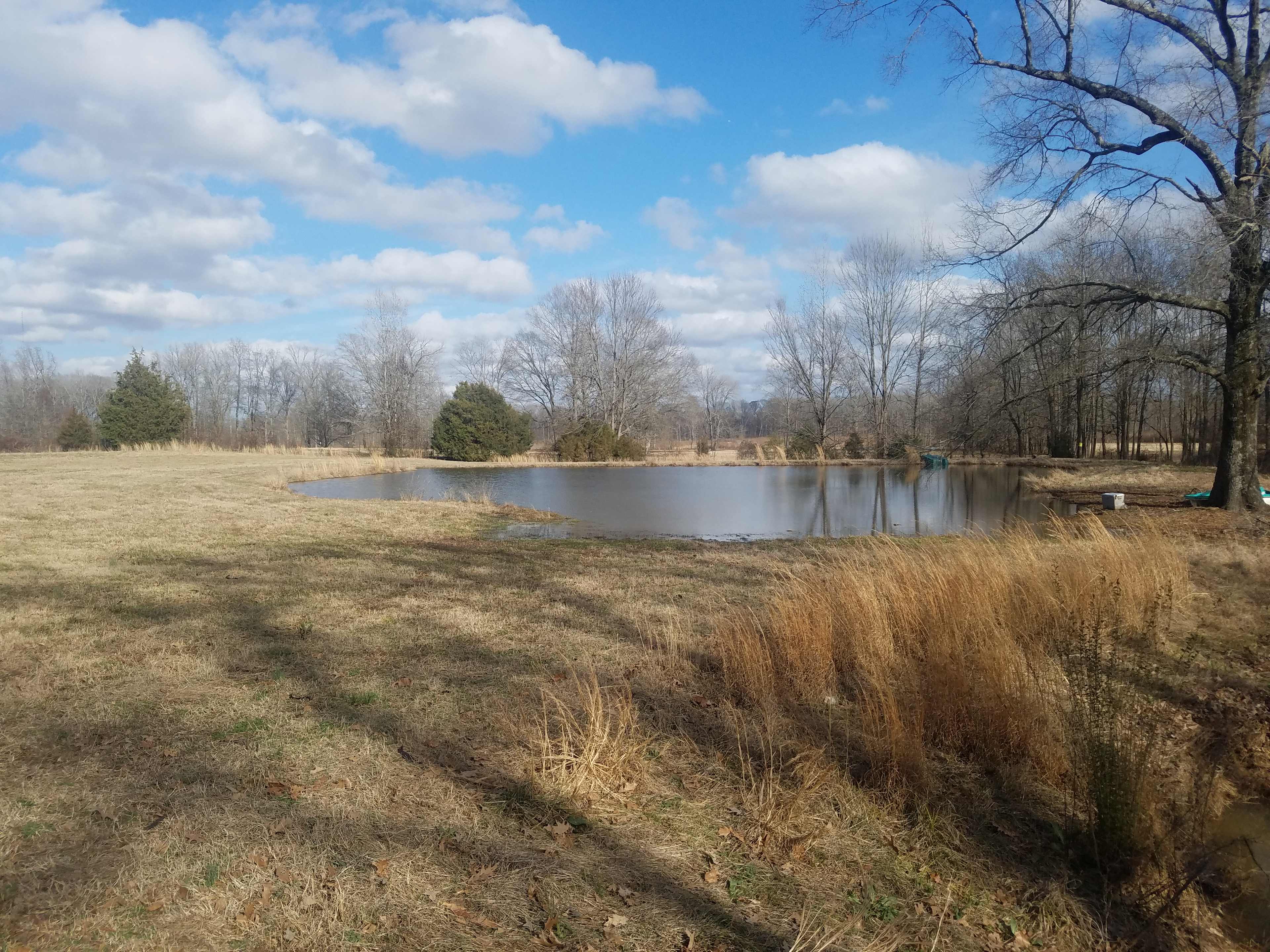 The front pond