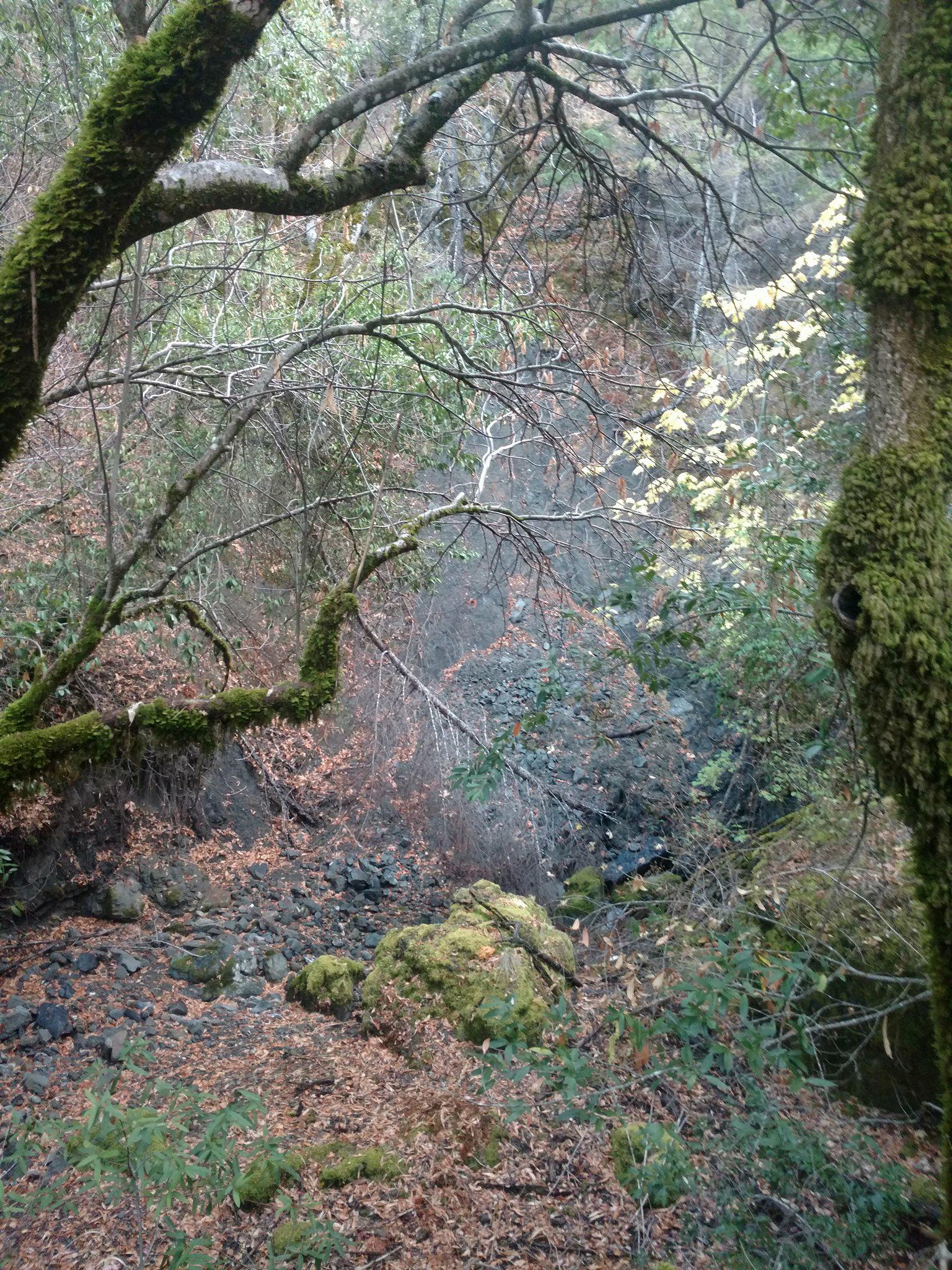 Down by the (seasonal) creek, below the campsite