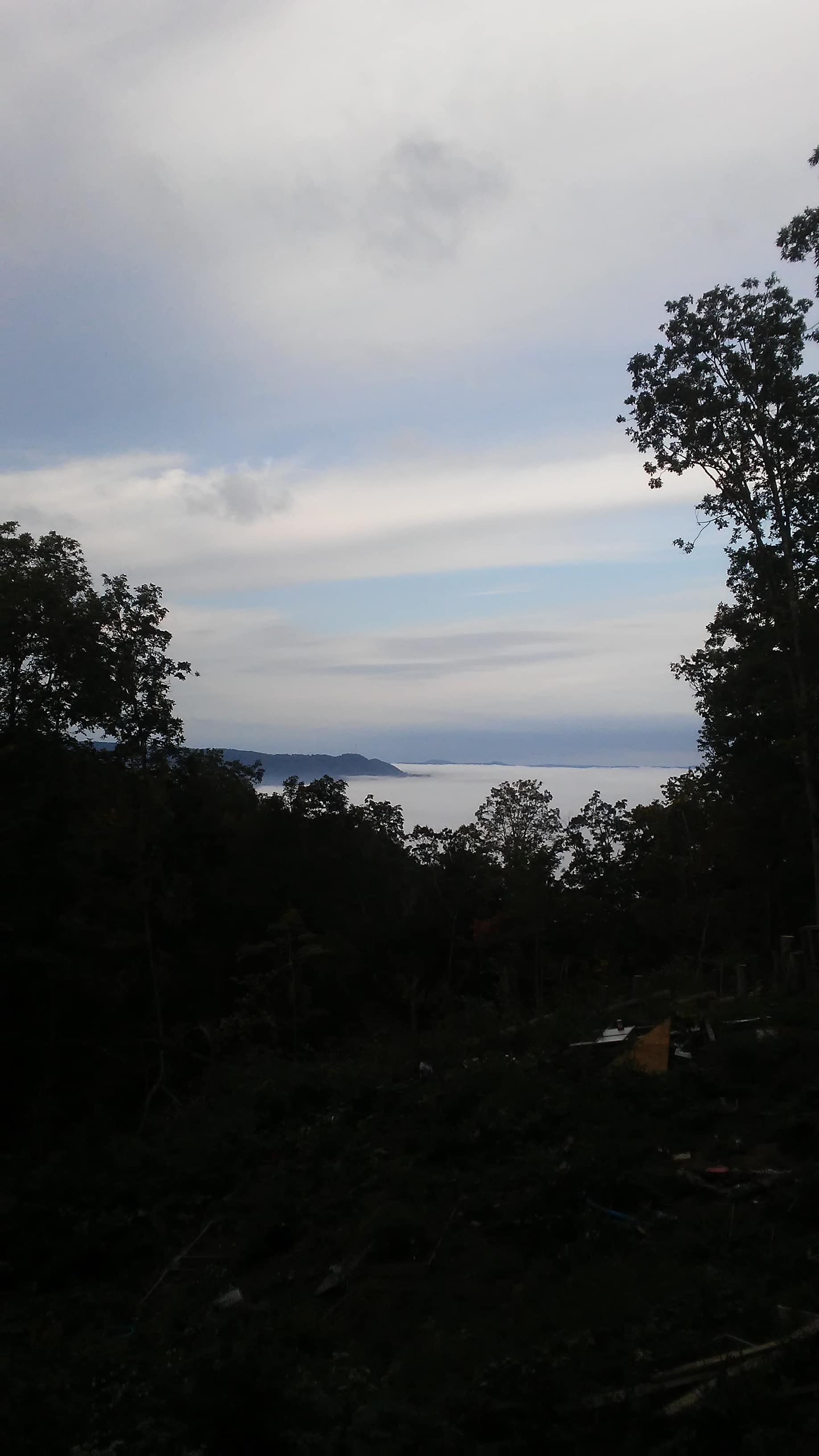 Sunrise fog bank down the mountain