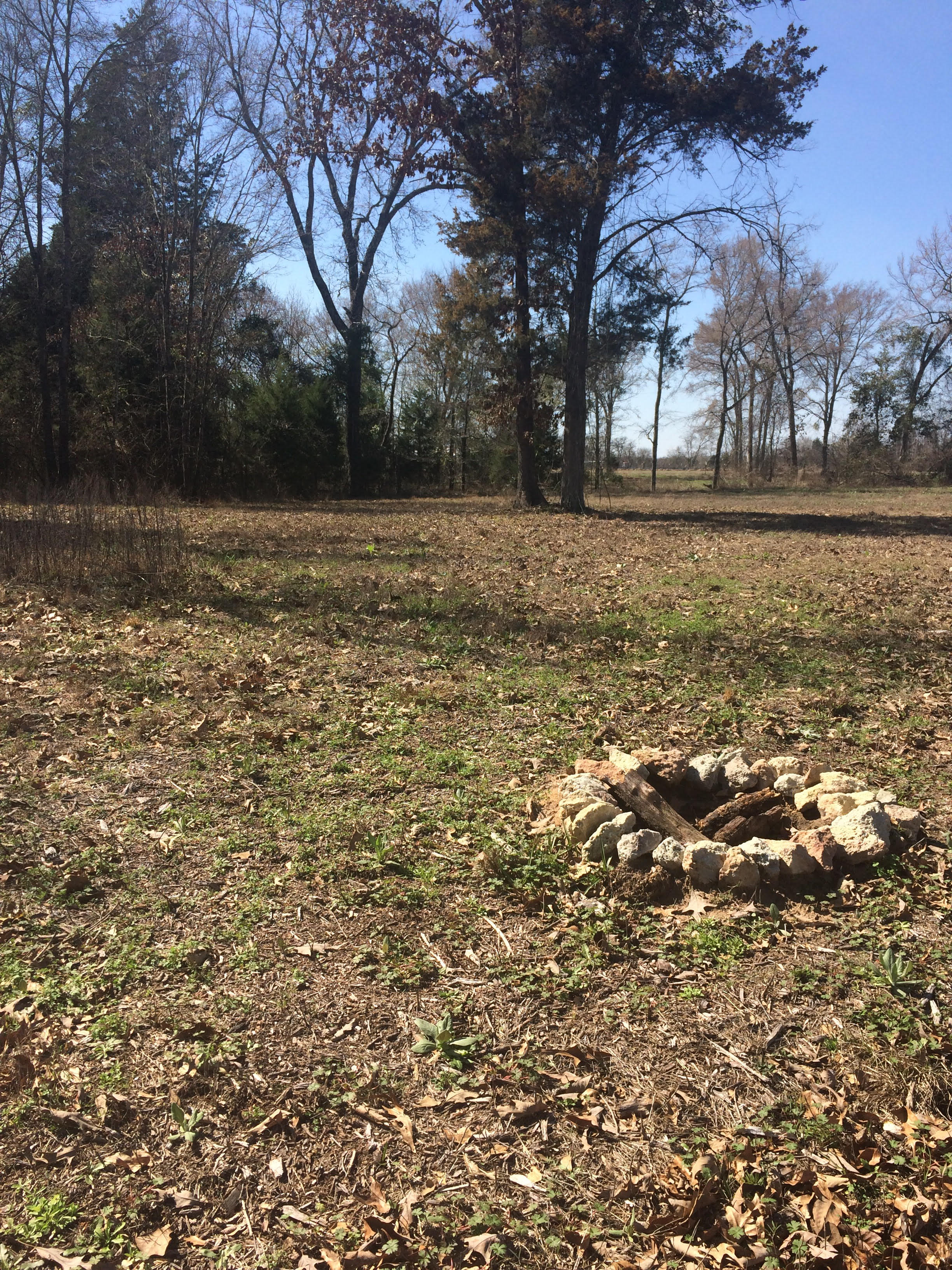 Site #1: This is a big area and has room for several tents and vehicles. The ground can be a bit rough from chopped up bark and uneven ground. 