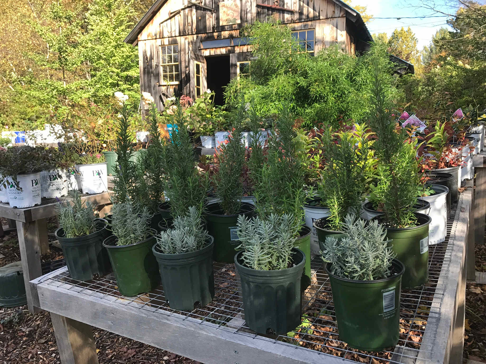 Learn something new about growing plants.
